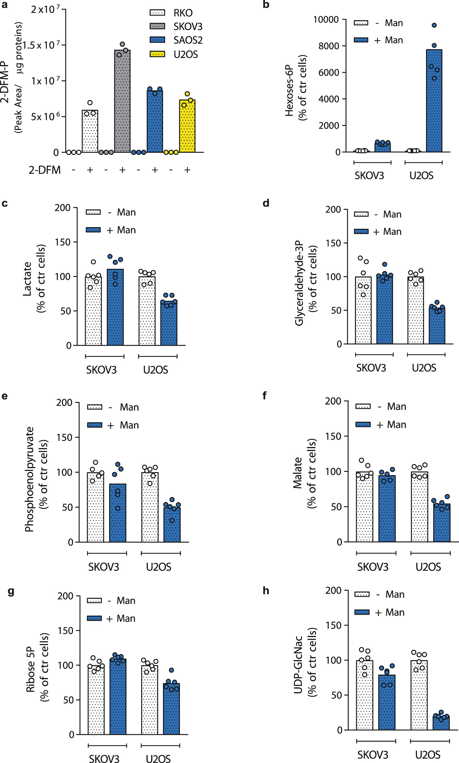 Extended Data Fig. 2: Mannose sensitivity is not associated with mannose uptake but with changes in cellular metabolism.