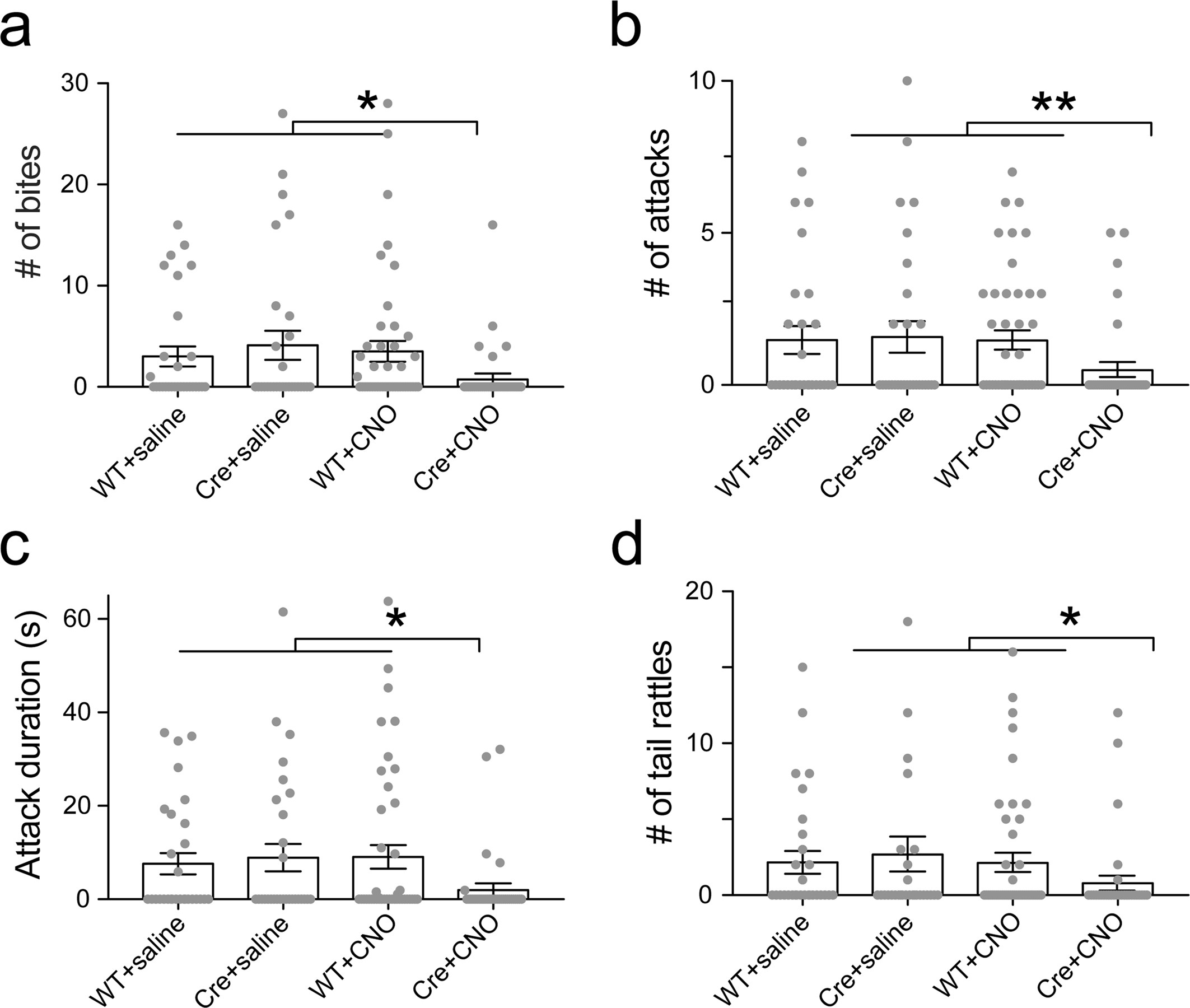 Extended Data Fig. 6: Effect of CA2 silencing on aggression attack parameters.