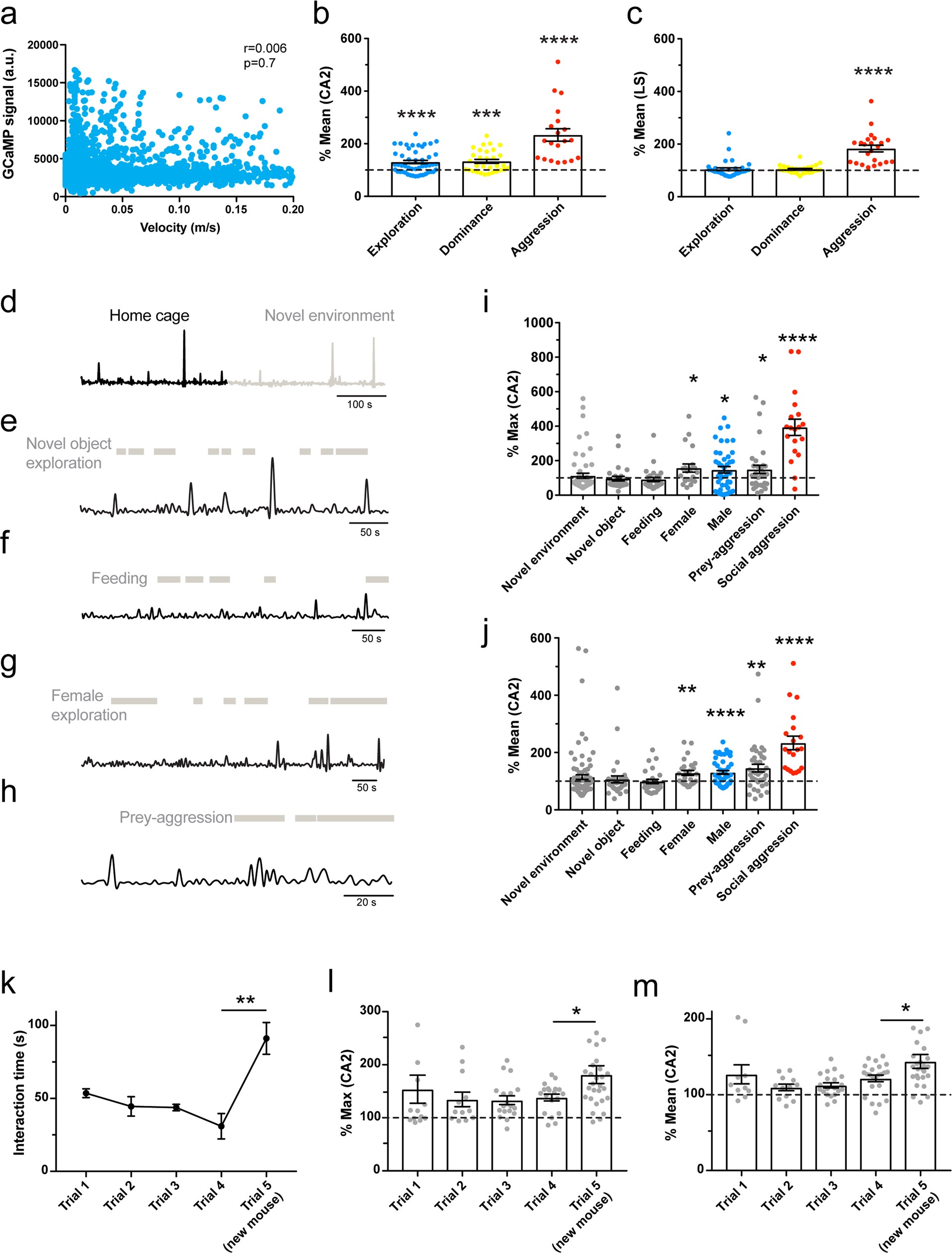 Extended Data Fig. 11: Fibre photometry measures of CA2 pyramidal neuron GCaMP6f signals during social interactions.