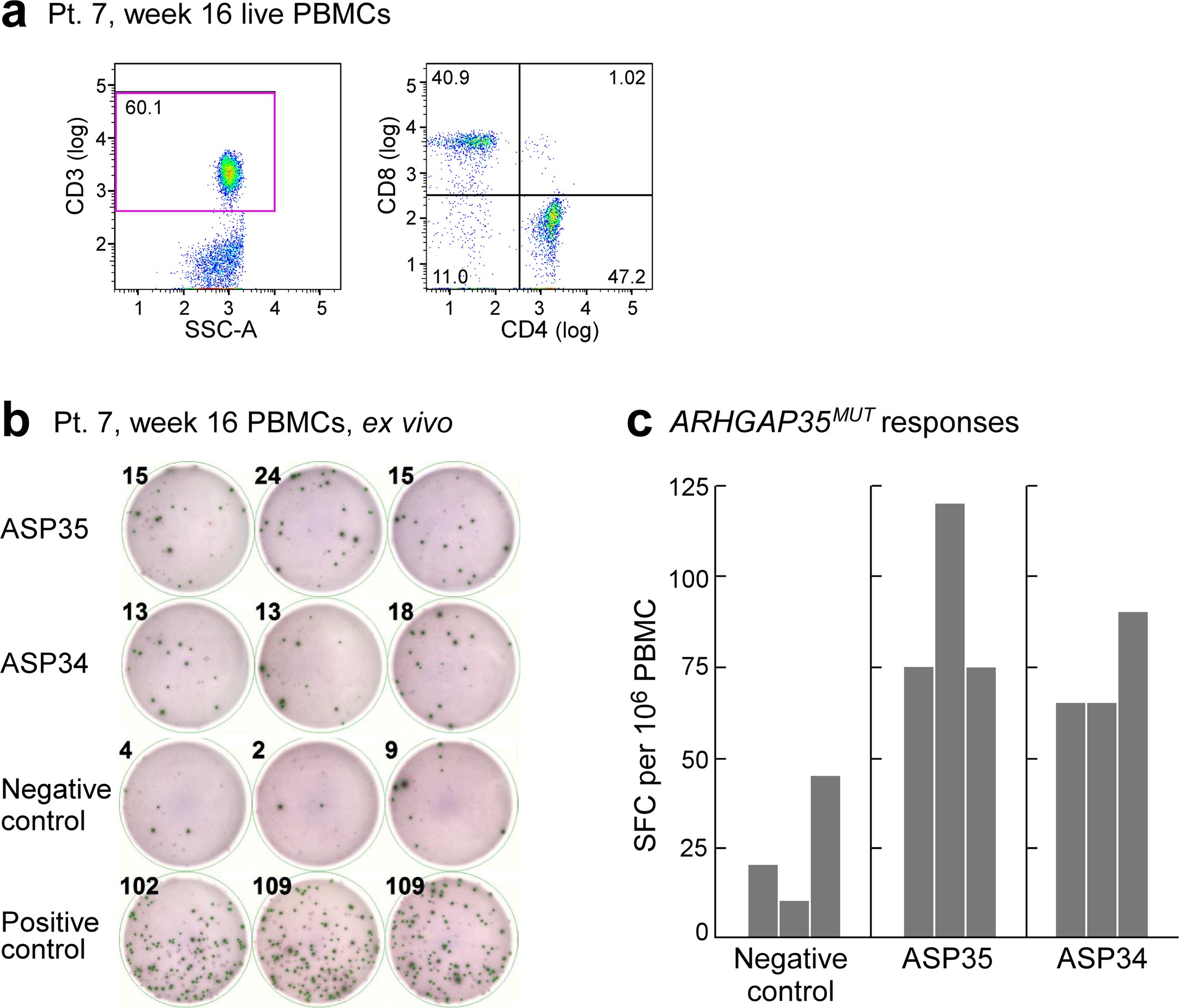 Extended Data Fig. 9: Detection of ARHGAP35MUT-specific T cells in patient 7, week 16.