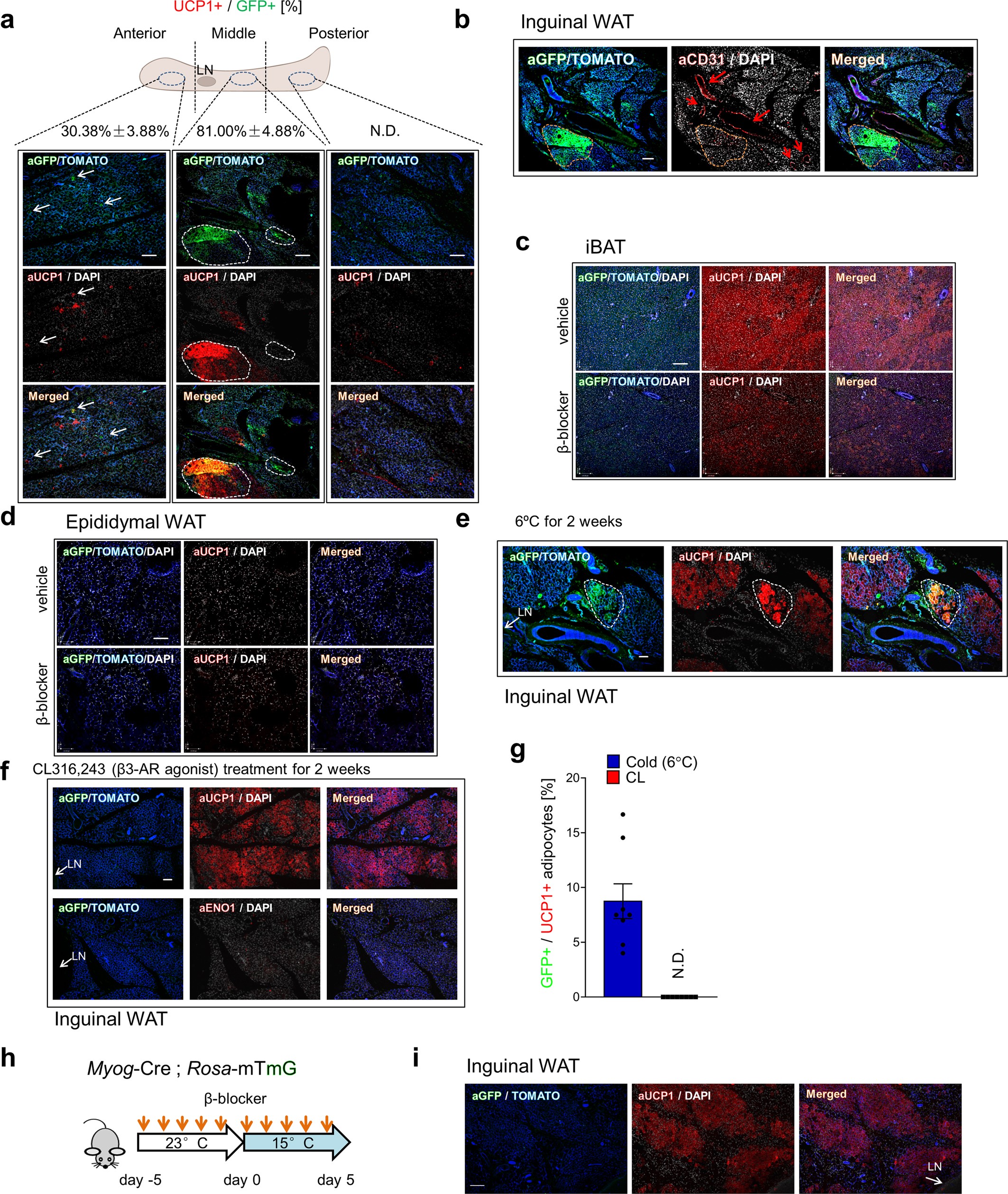 Extended Data Fig. 2