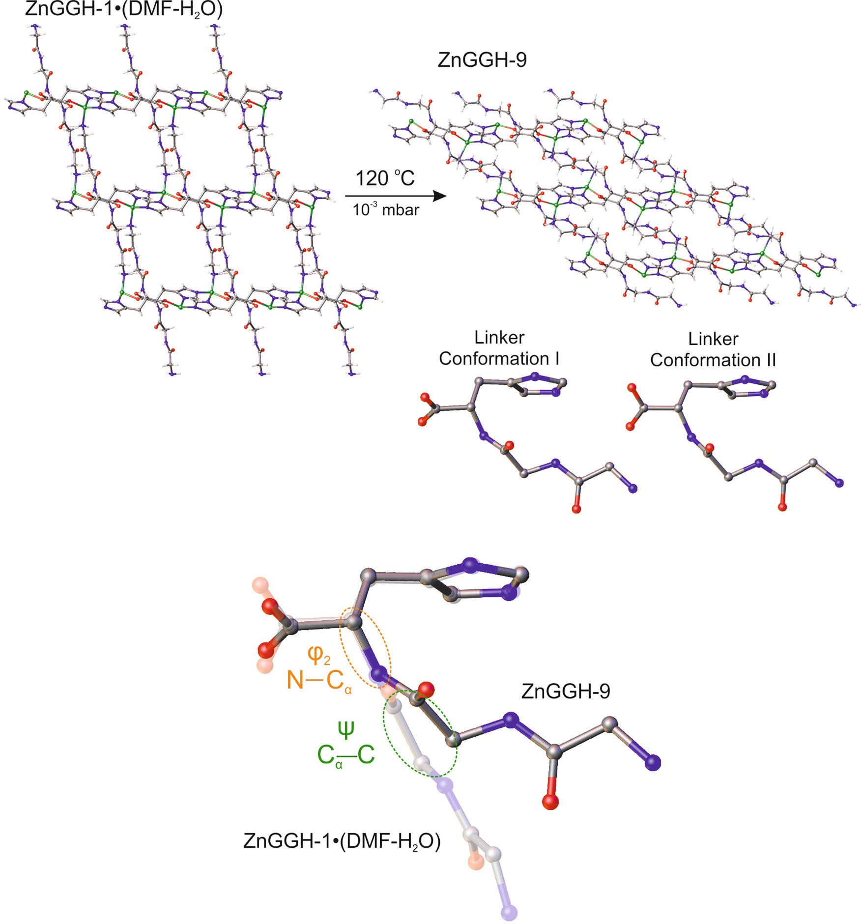 Extended Data Fig. 5