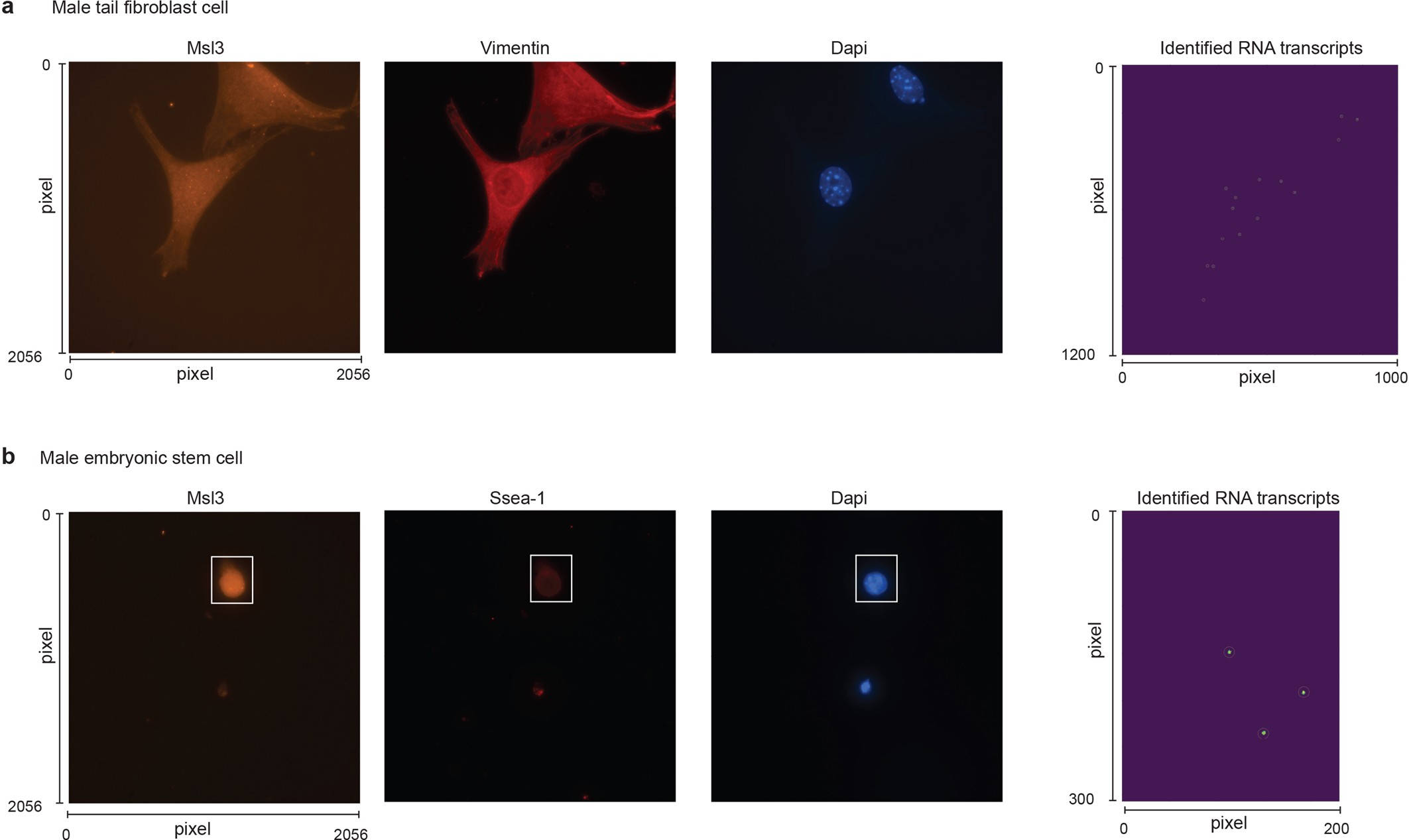 Extended Data Fig. 6