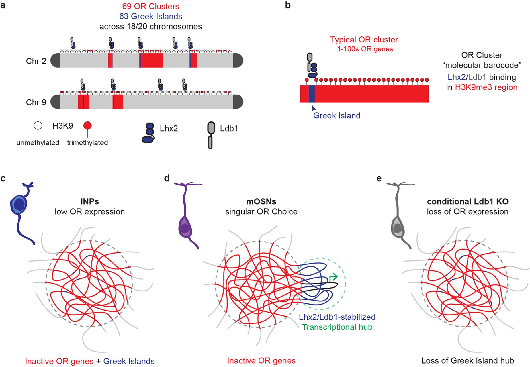 Extended Data Fig. 10
