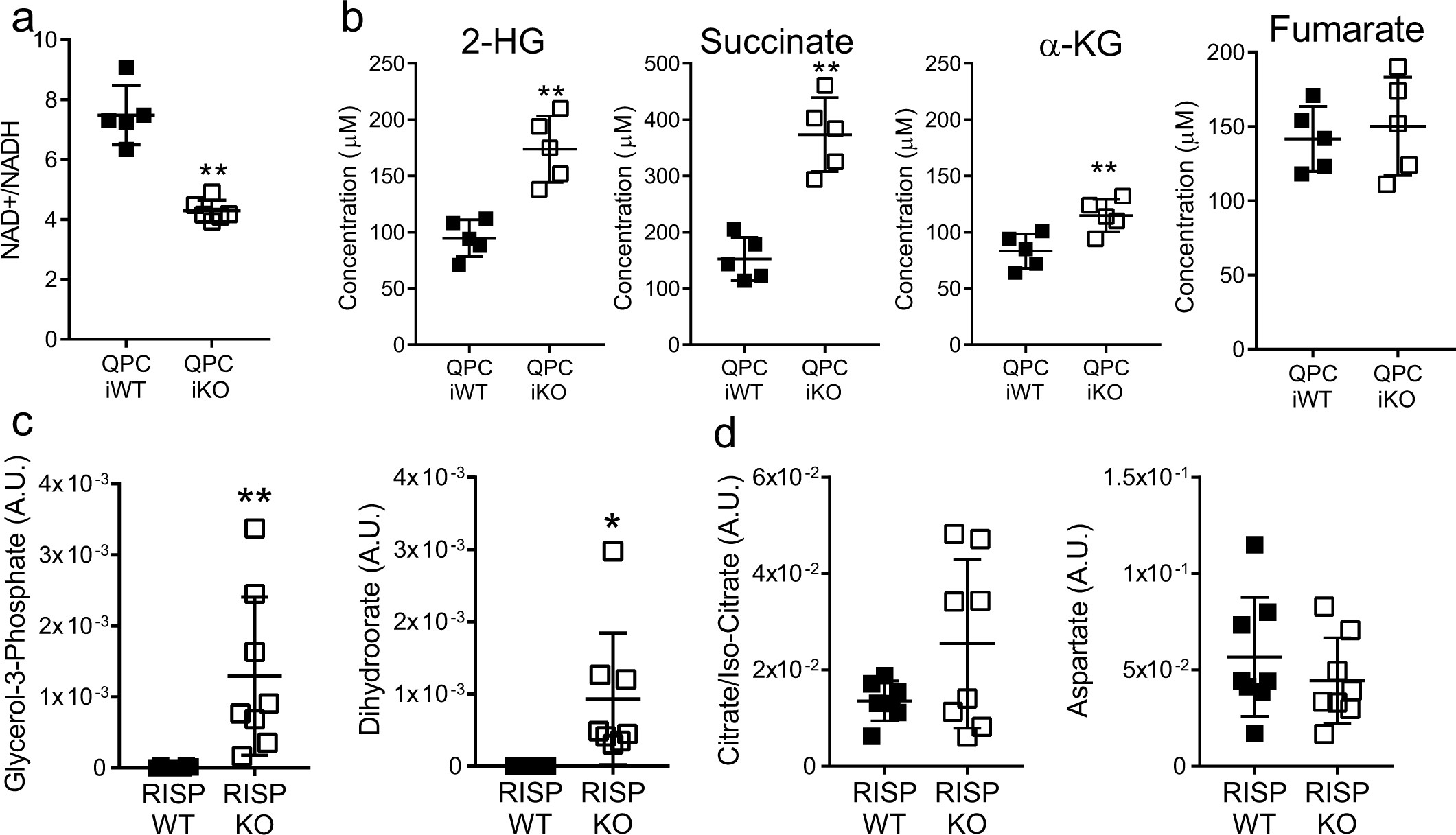 Extended Data Fig. 9: Metabolite alterations in complex III-deficient Treg cells.
