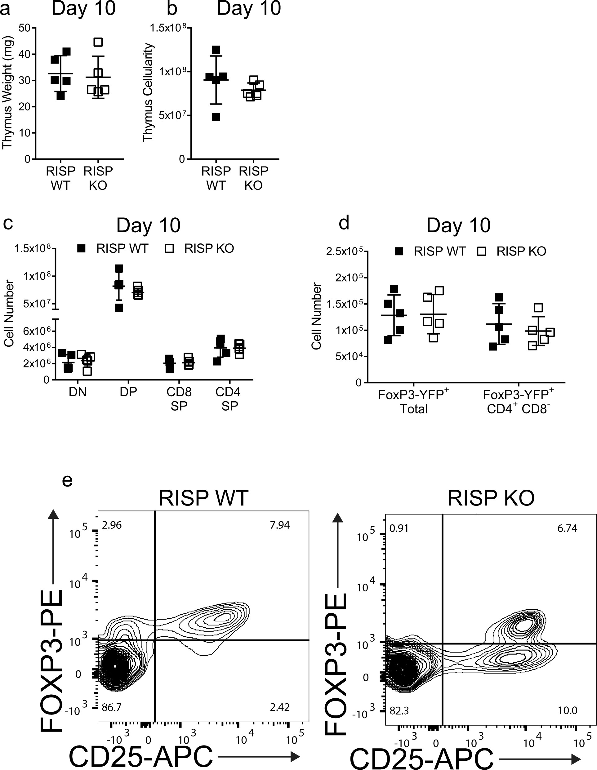 Extended Data Fig. 2: Mice with regulatory T cells deficient in RISP do not display thymic dysfunction early in life.