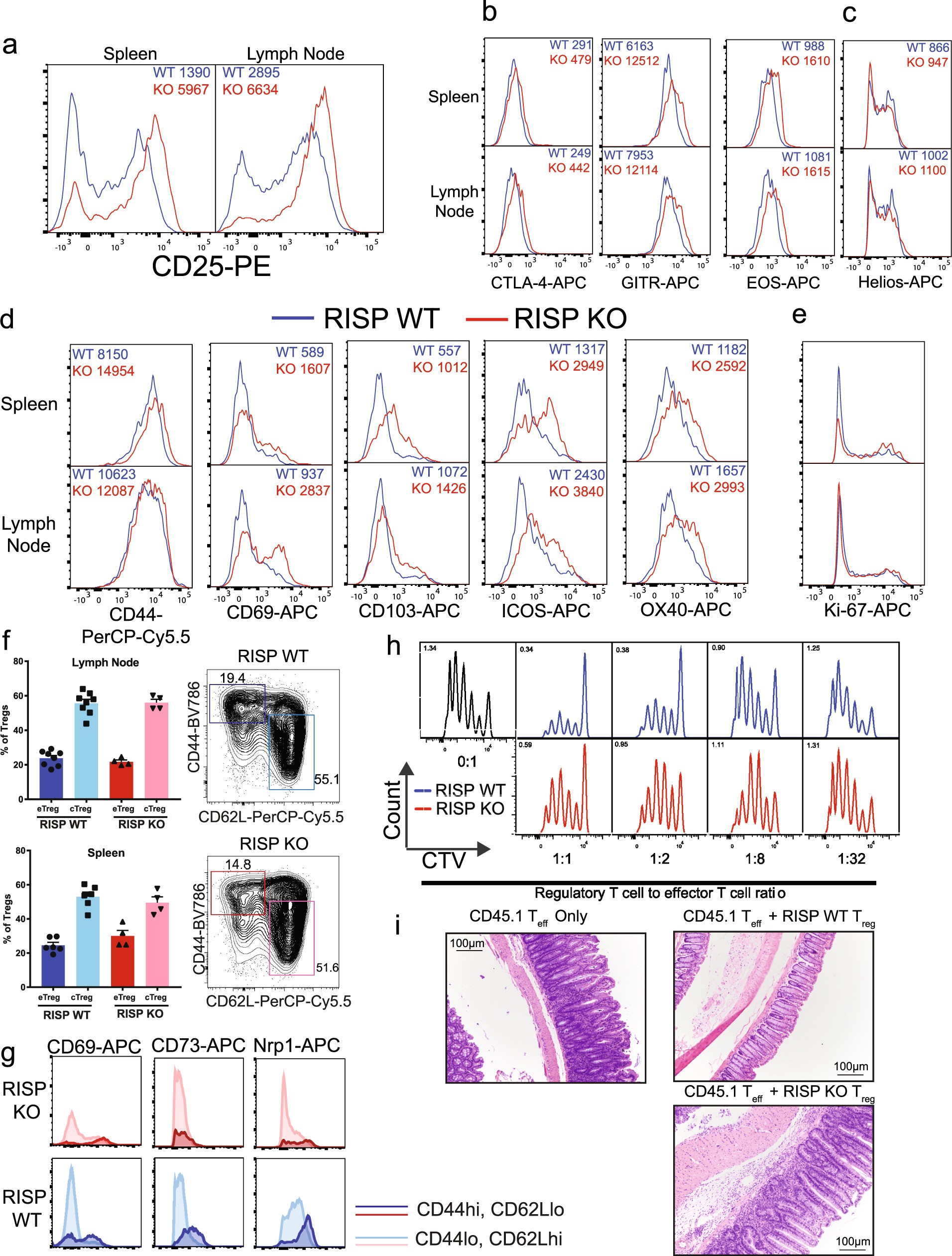 Extended Data Fig. 3: Loss of RISP does not impair expression of classic Treg cell markers, activation markers and proliferation, but impairs Treg suppressive function.
