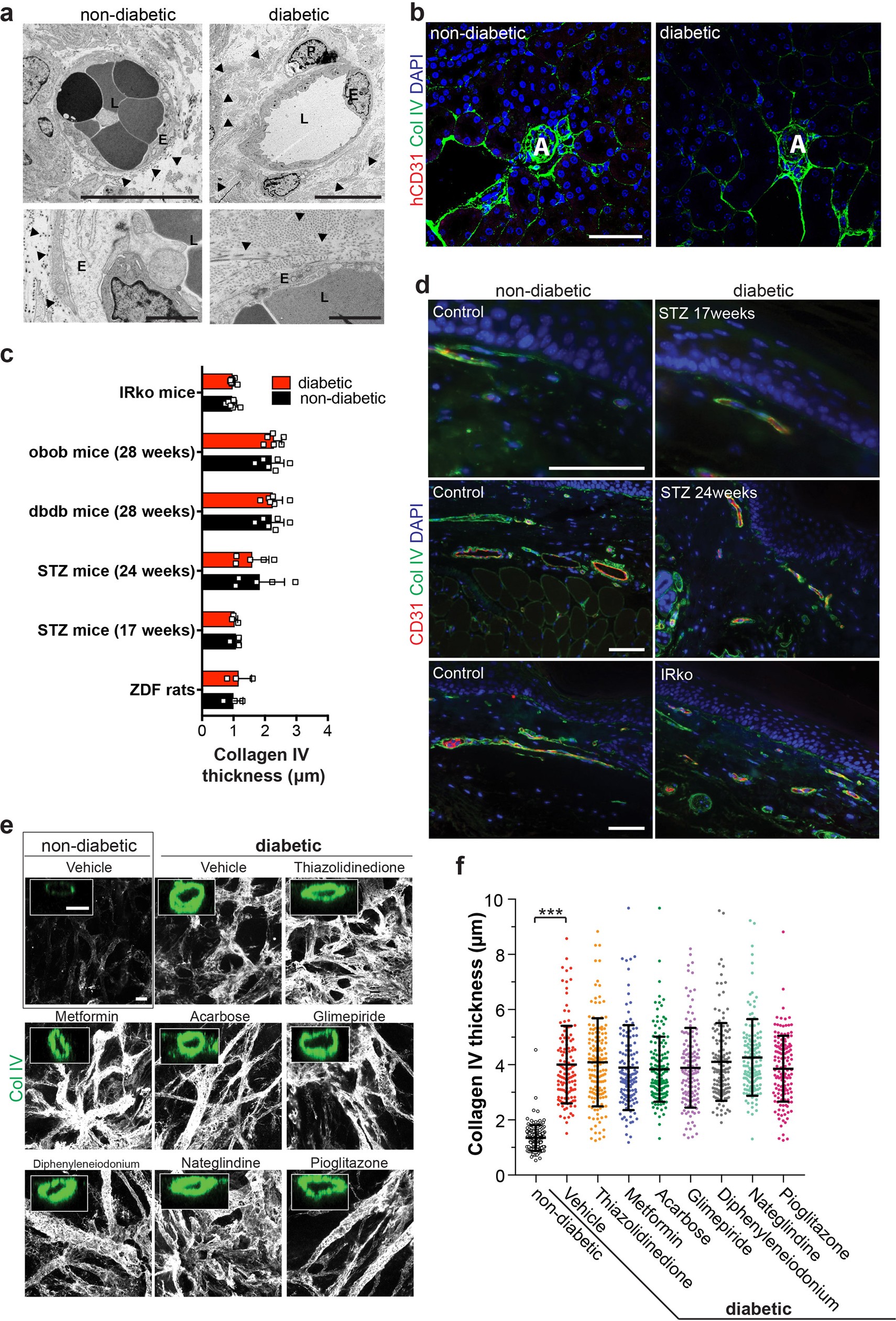 Extended Data Fig. 7