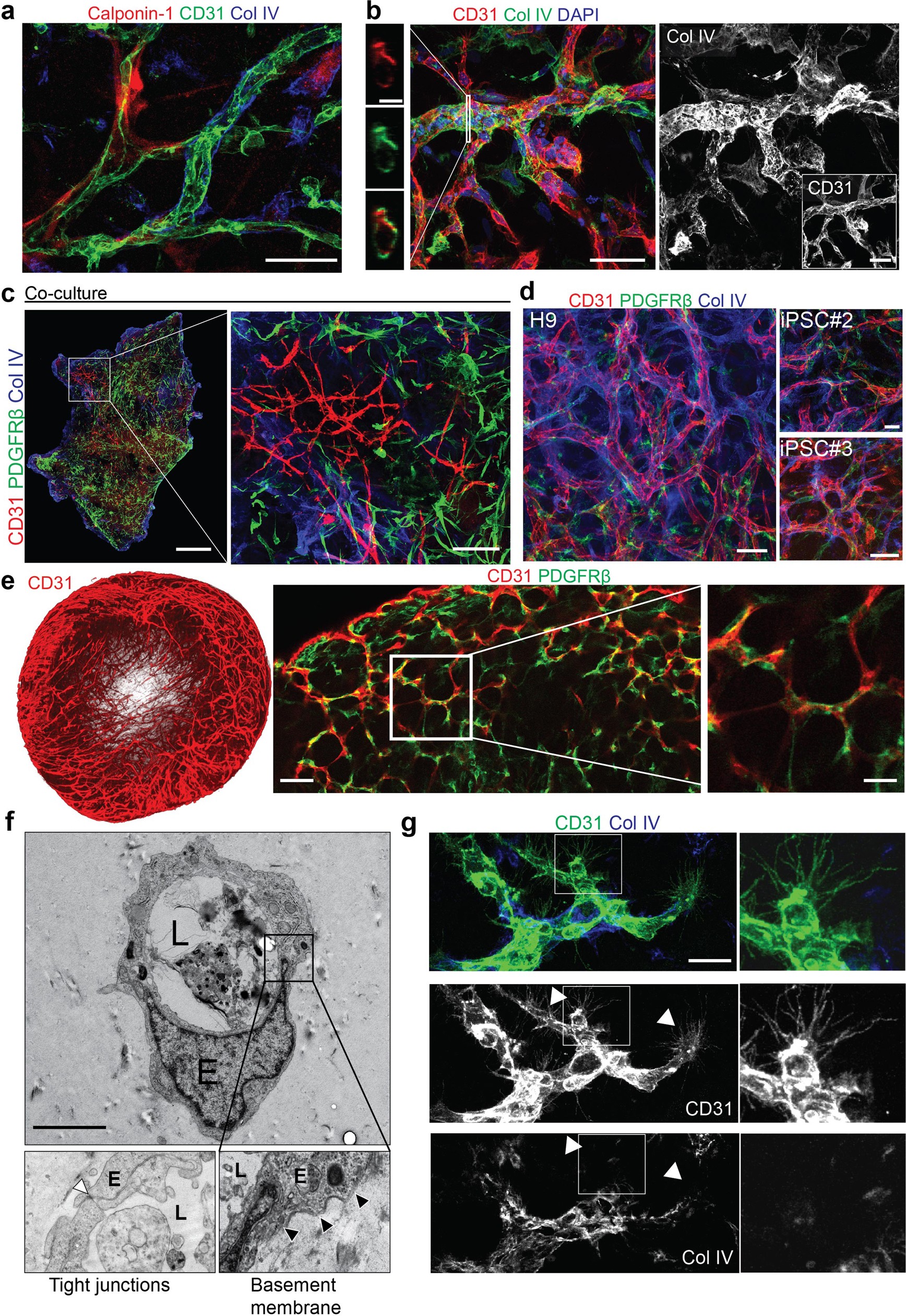 Extended Data Fig. 1