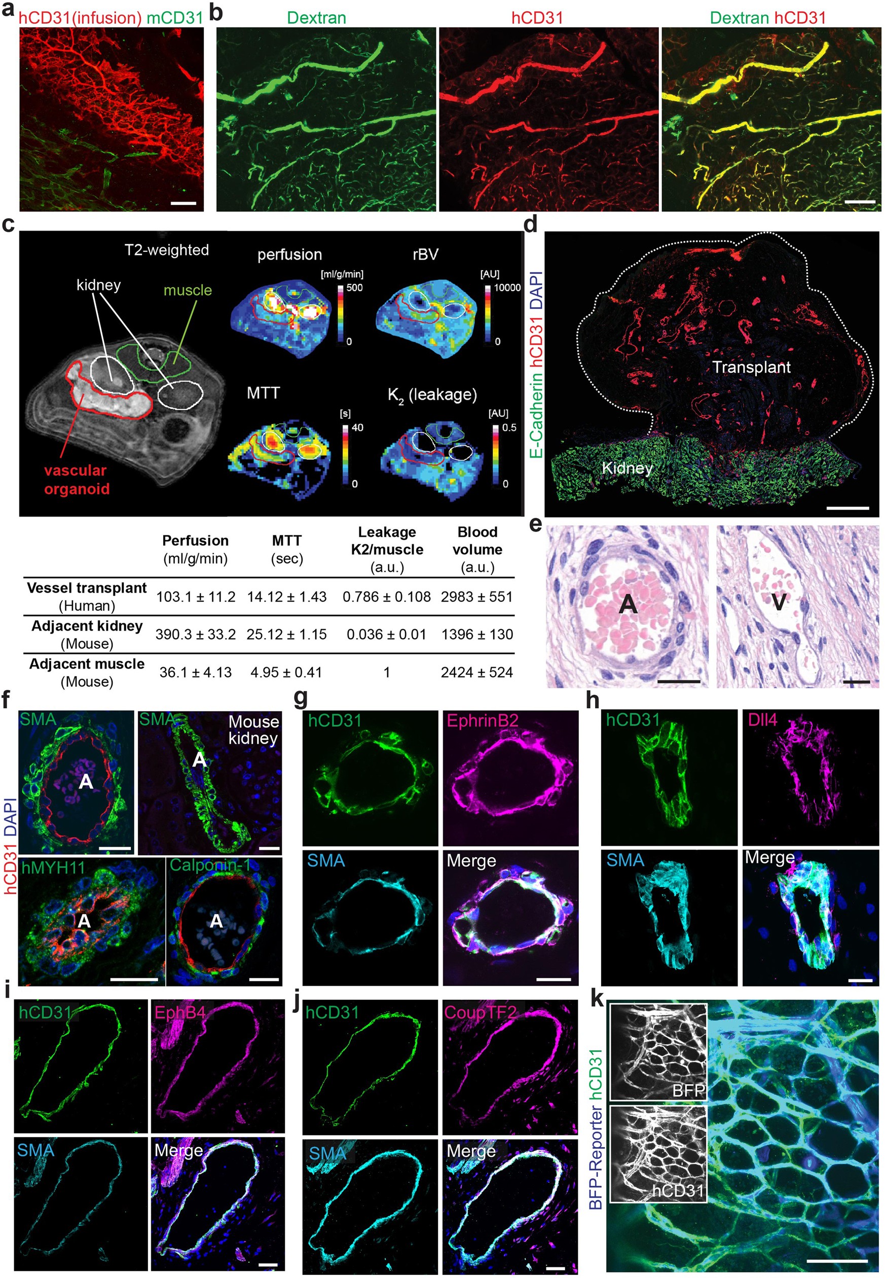 Extended Data Fig. 3