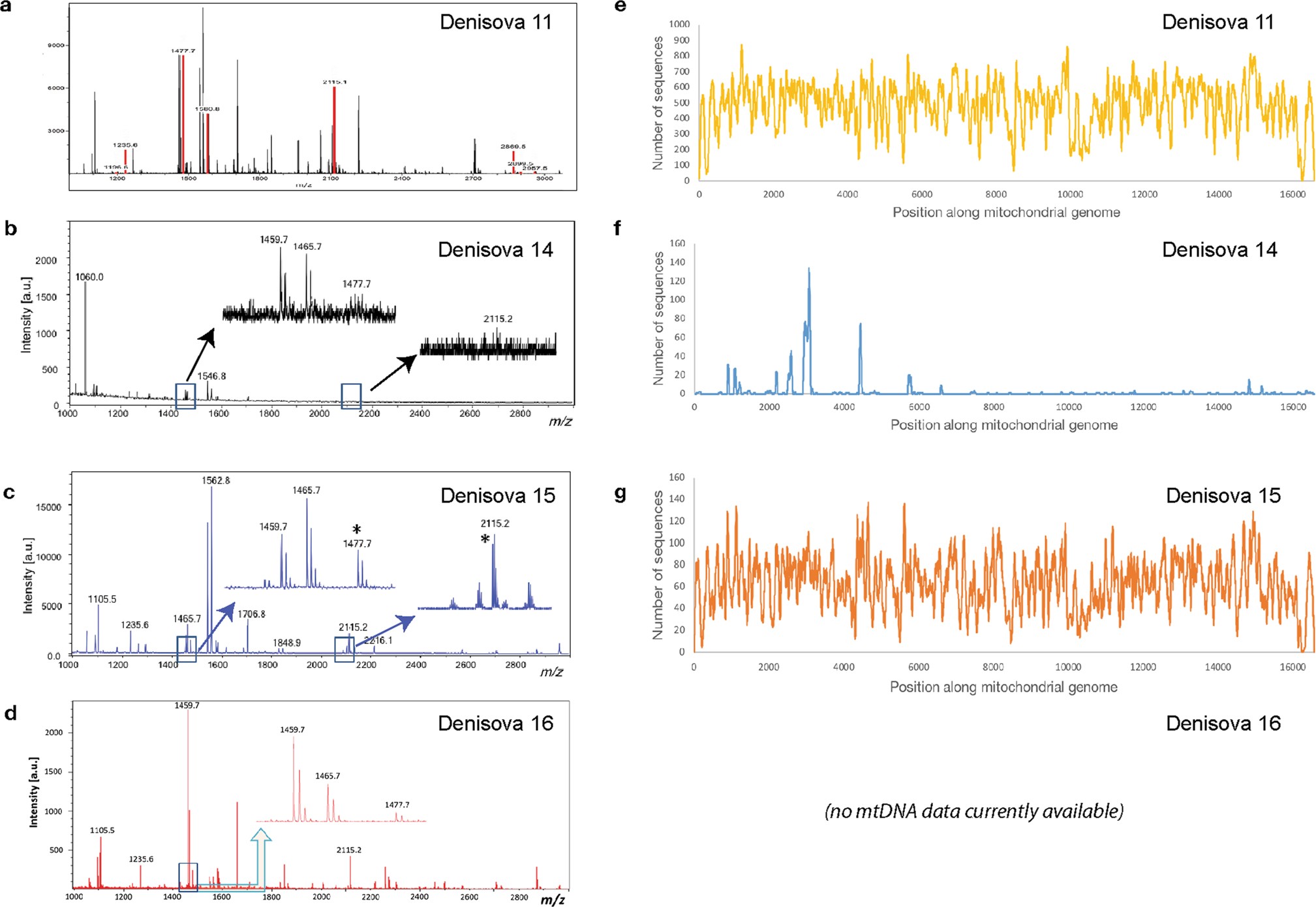 Extended Data Fig. 3: Proteomic and genetic data for hominin bones discovered using ZooMS.