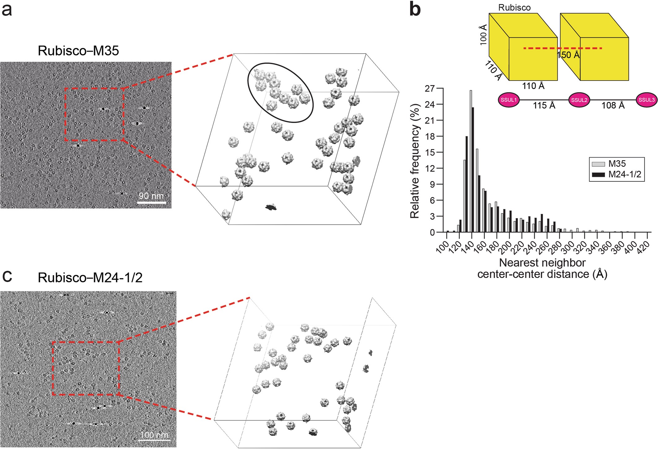 Extended Data Fig. 8