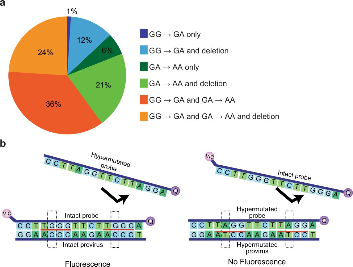 Extended Data Fig. 1