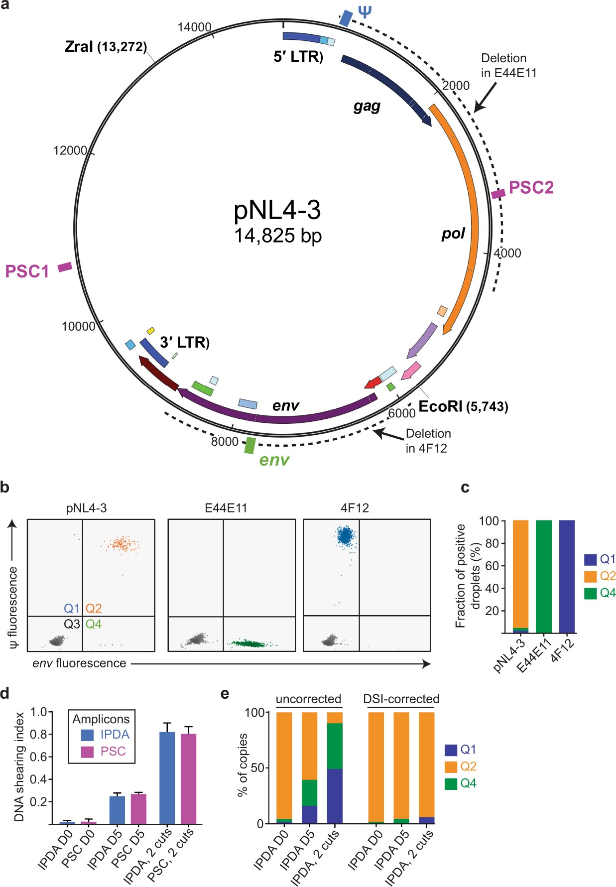 Extended Data Fig. 5: Plasmid controls confirm specificity of the IPDA.