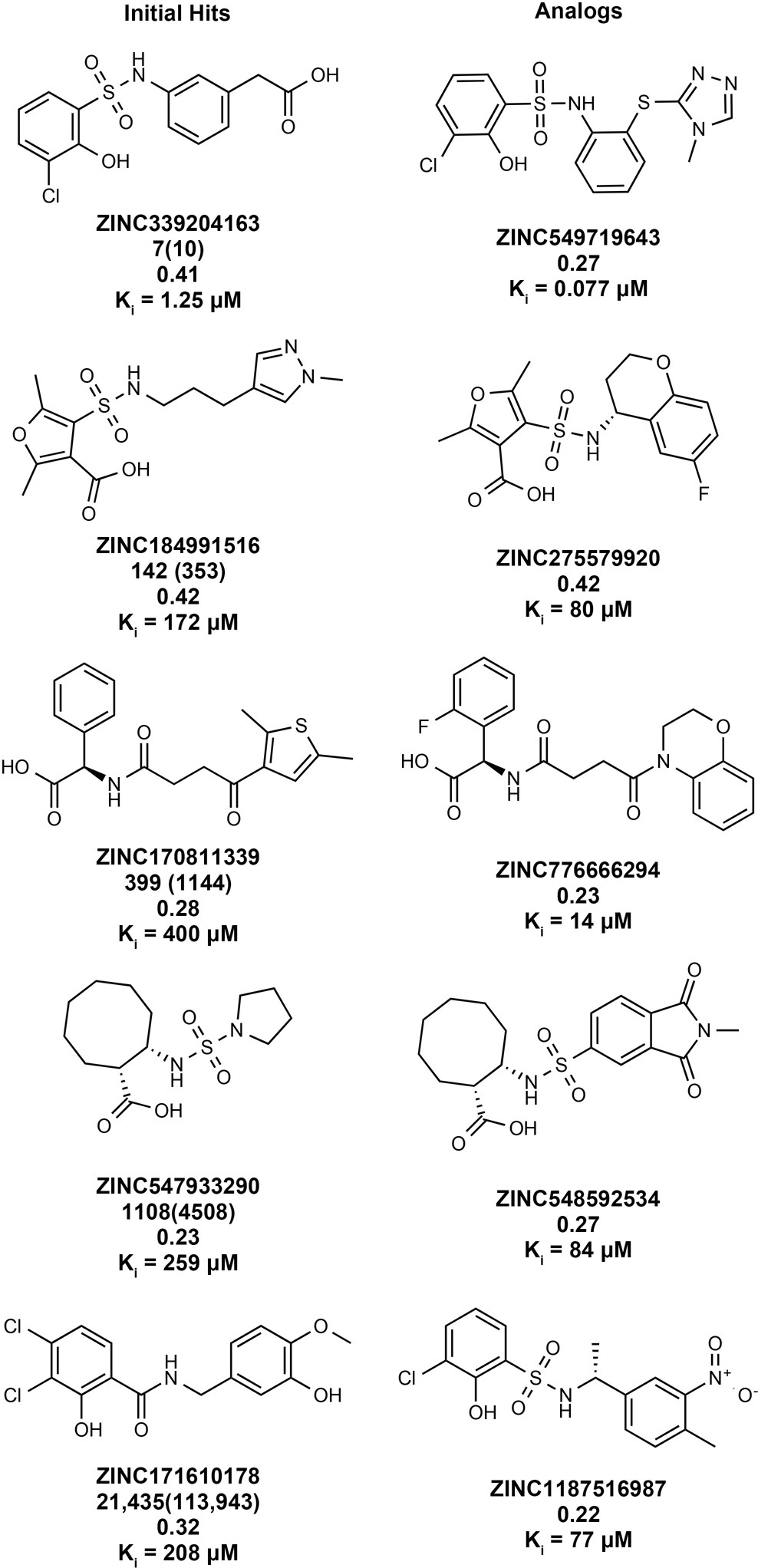 Extended Data Fig. 2: Initial hits and selected analogues against AmpC.