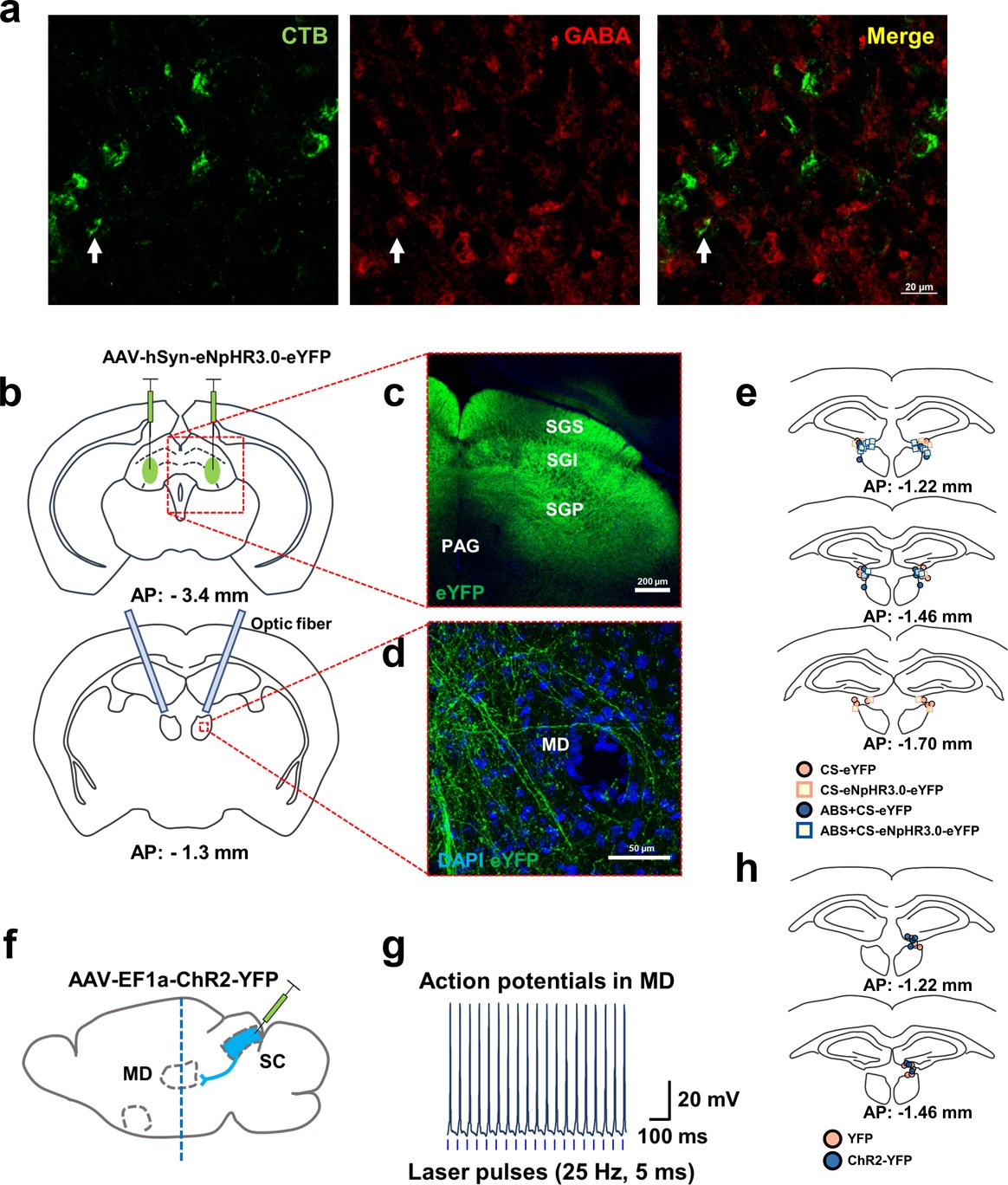 Extended Data Fig. 7