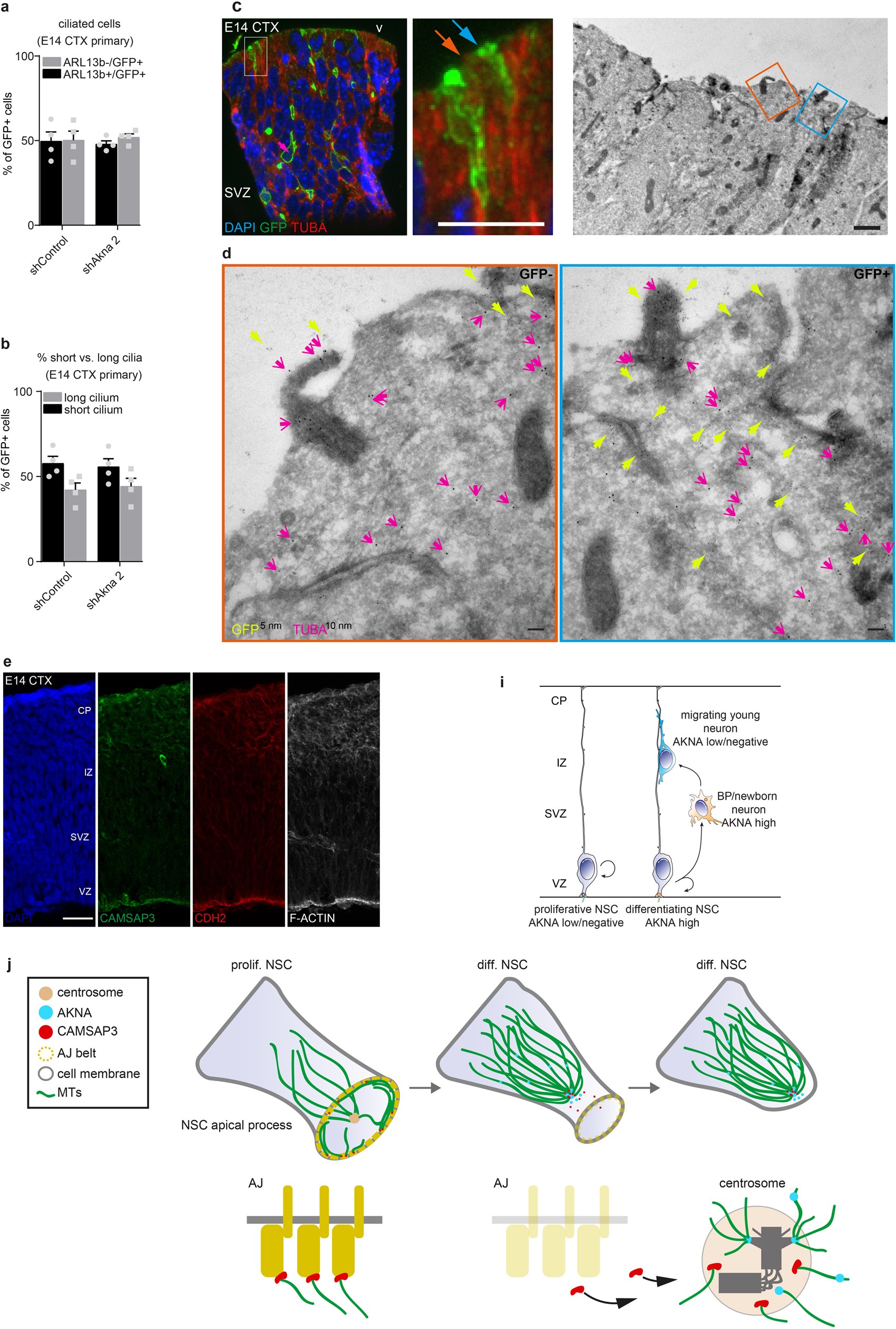 Extended Data Fig. 7