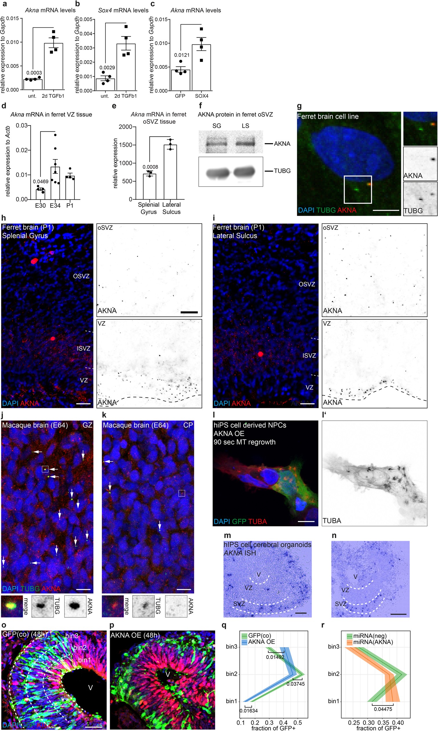 Extended Data Fig. 10