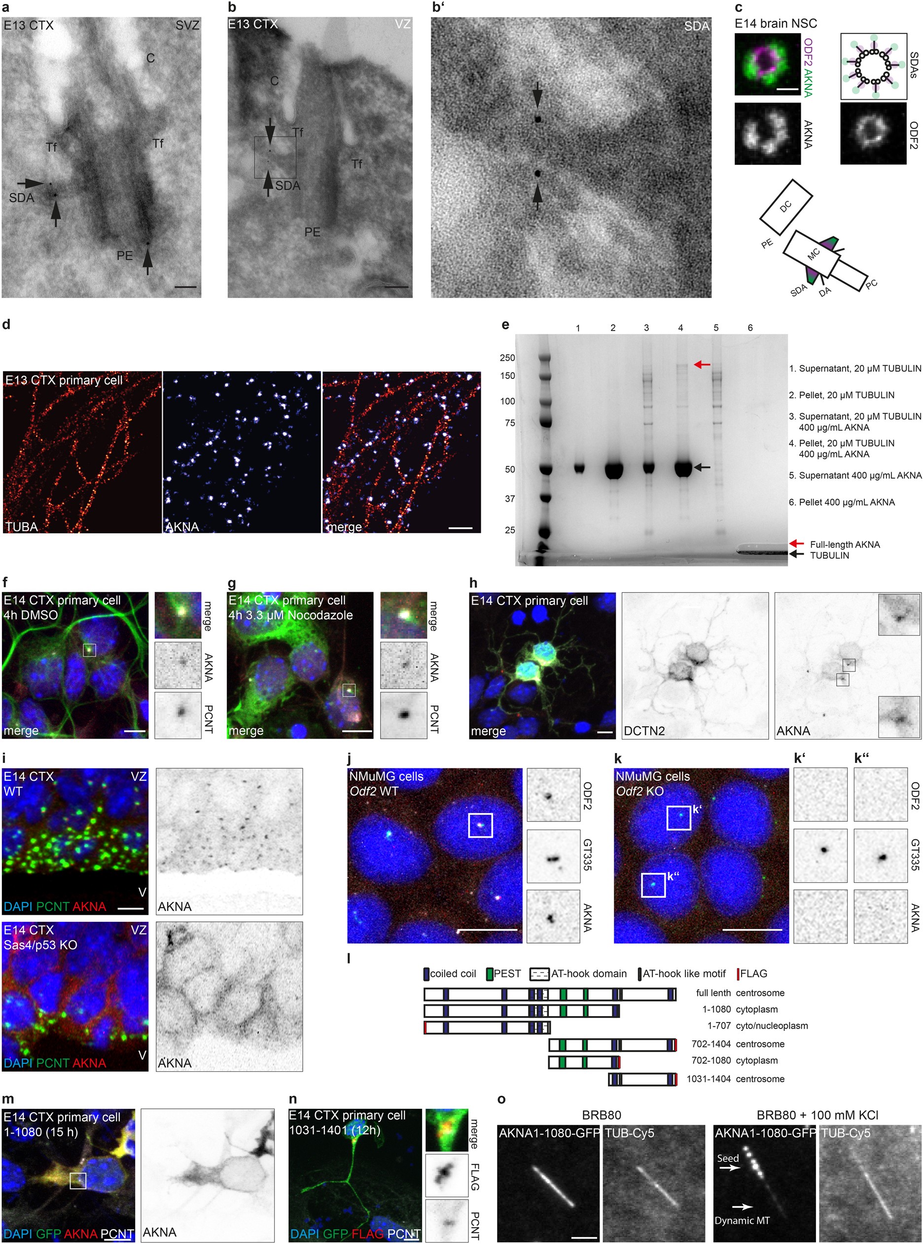 Extended Data Fig. 2