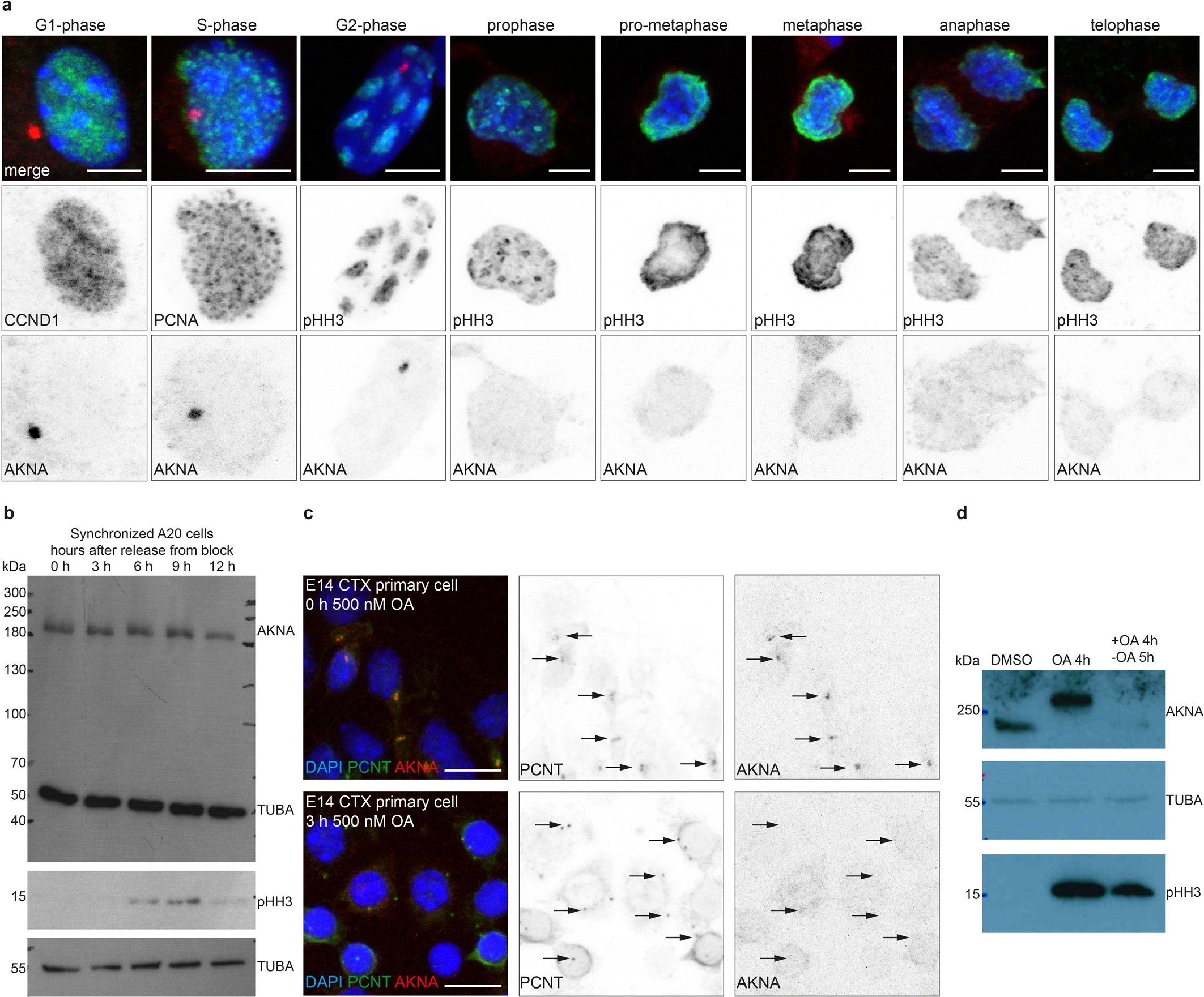 Extended Data Fig. 3