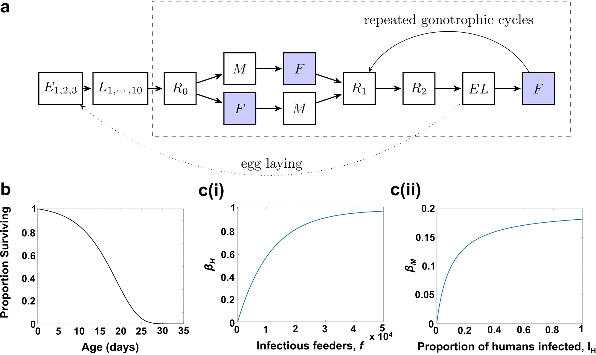 Extended Data Fig. 2: Model structure and population parameters.