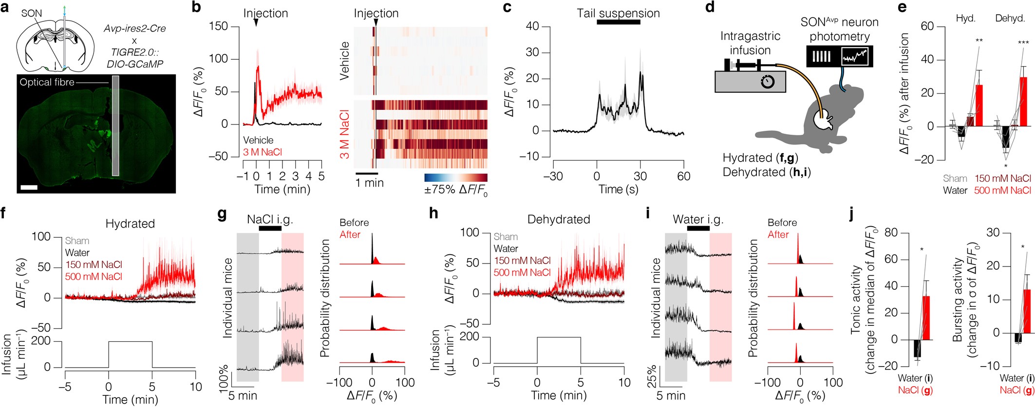 Extended Data Fig. 5: Vasopressin neurons integrate systemic and gastrointestinal osmosensory signals and are stress-responsive.