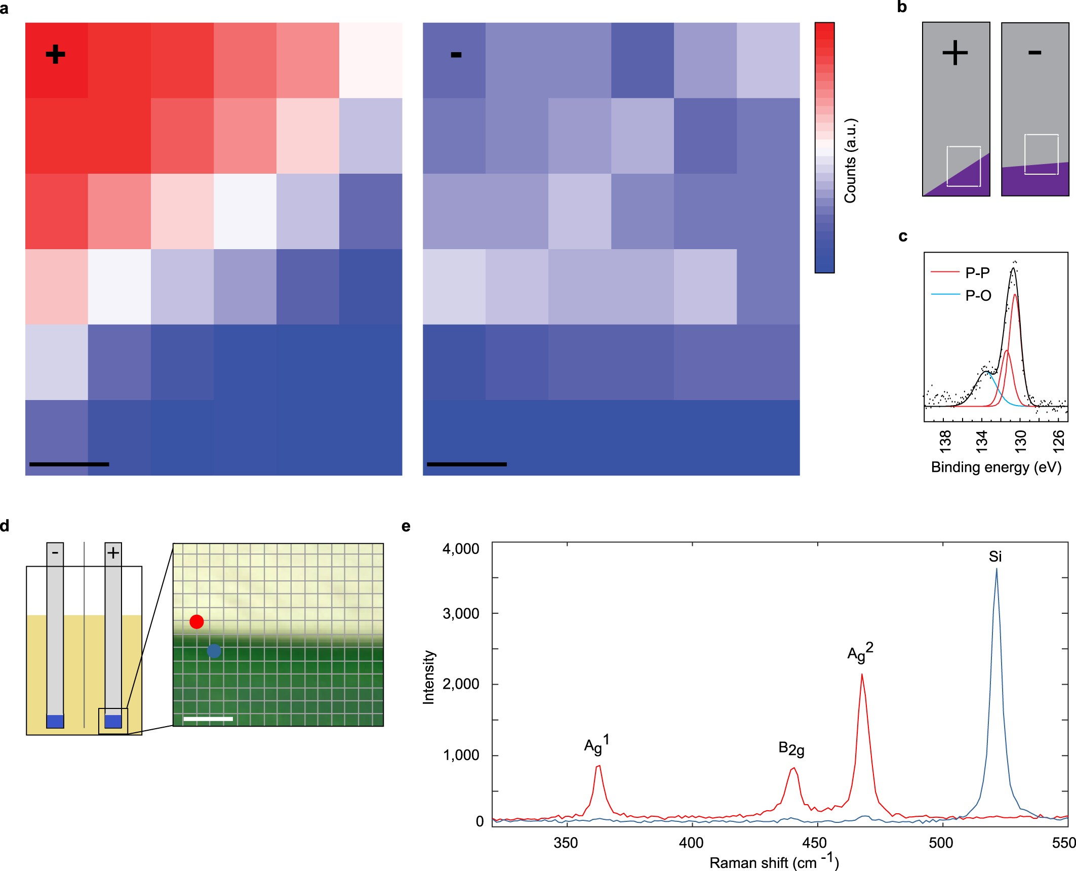 Extended Data Fig. 7