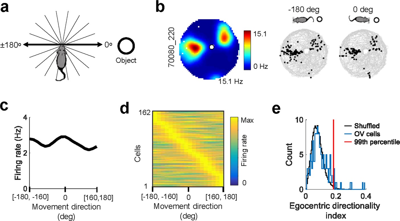 Extended Data Fig. 6