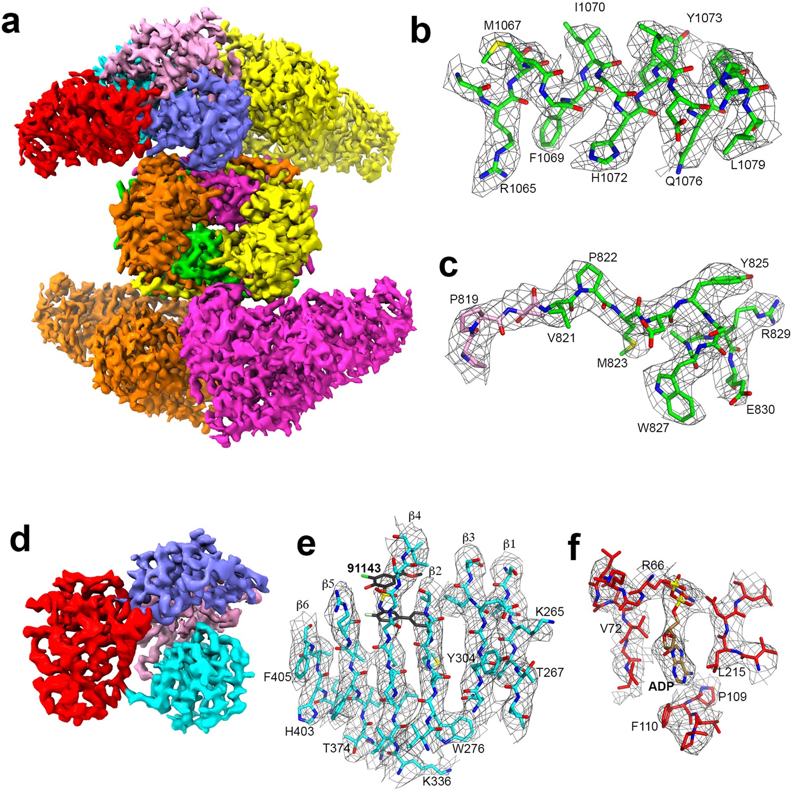 Extended Data Fig. 5