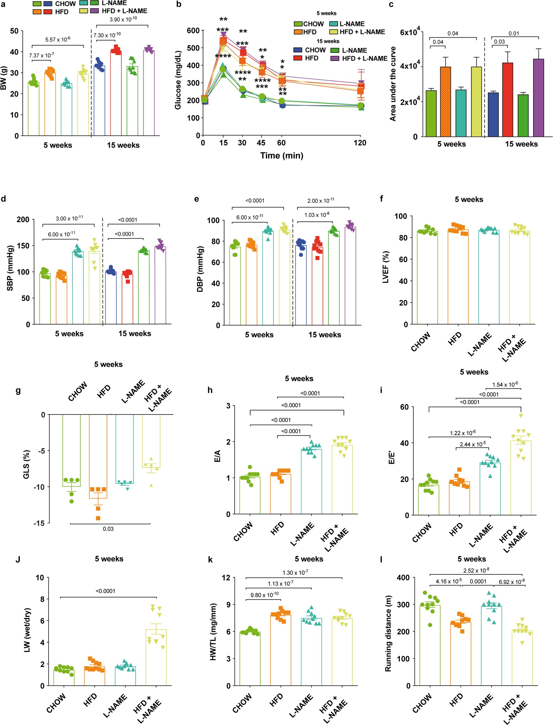 Extended Data Fig. 1: Systemic and cardiac phenotype of mice after 5 or 15 weeks of different dietary regimens.