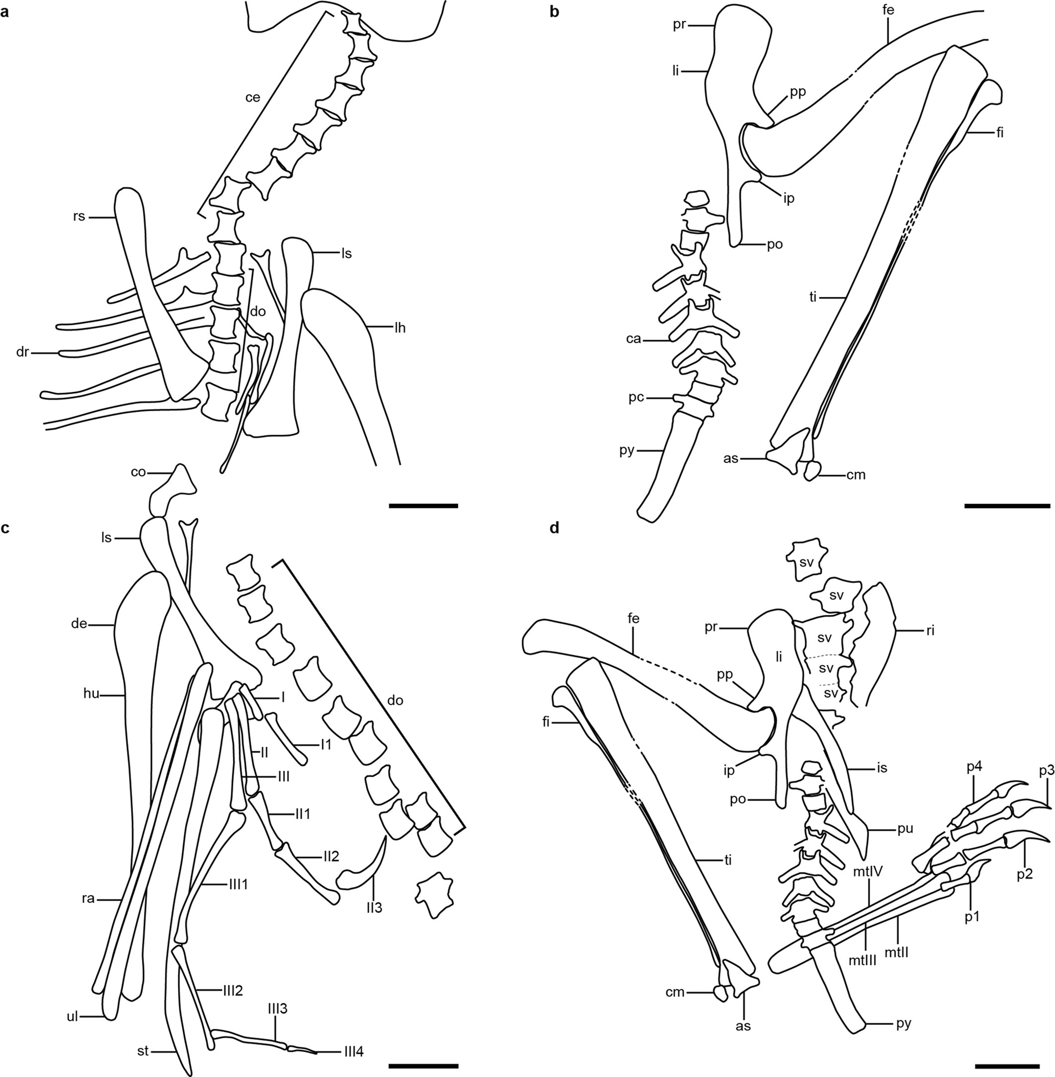 Extended Data Fig. 3