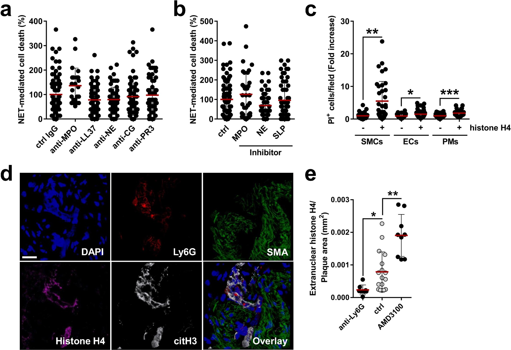 Extended Data Fig. 5: NET-derived histone H4 induces cell toxicity.