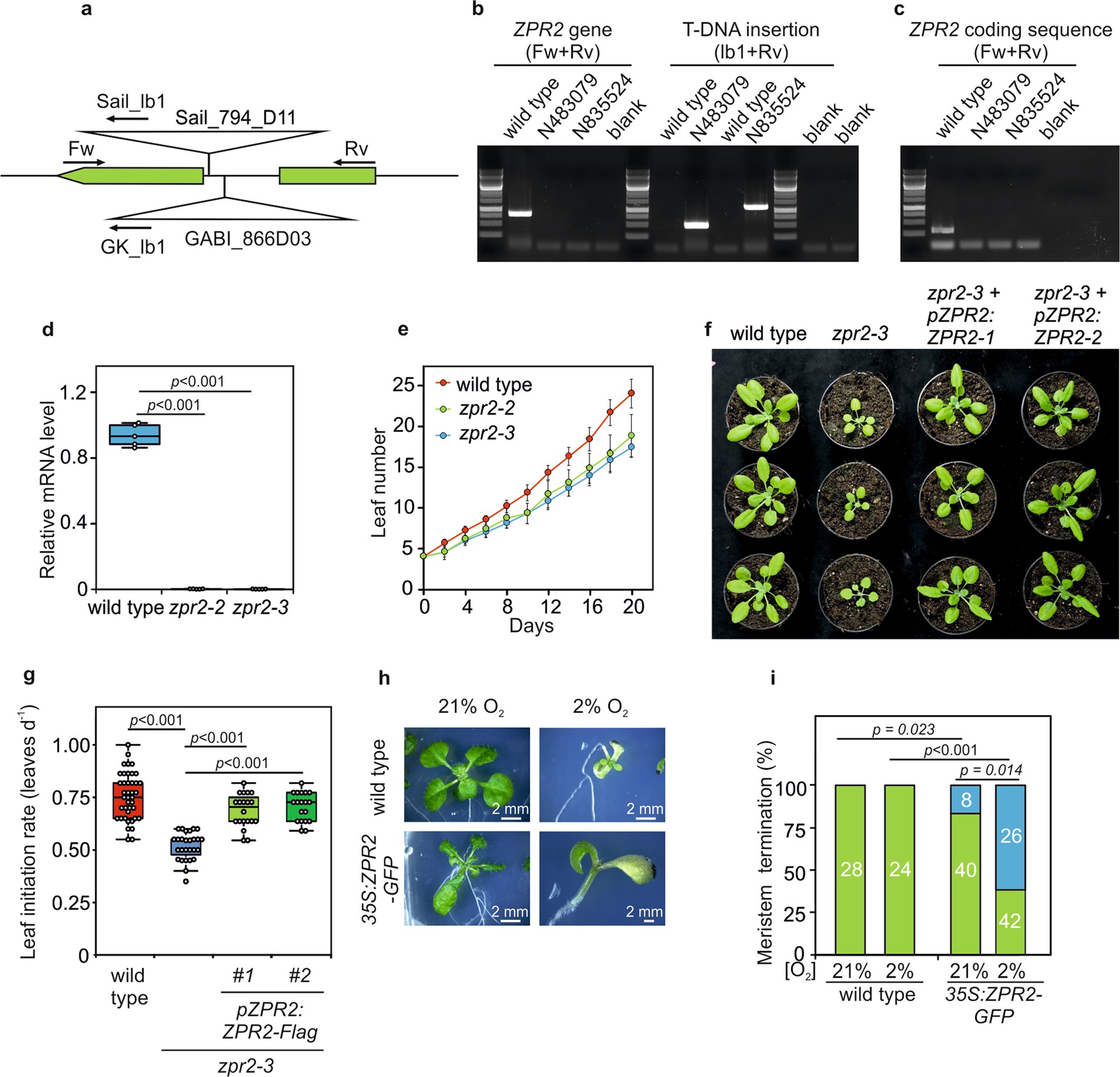 Extended Data Fig. 8
