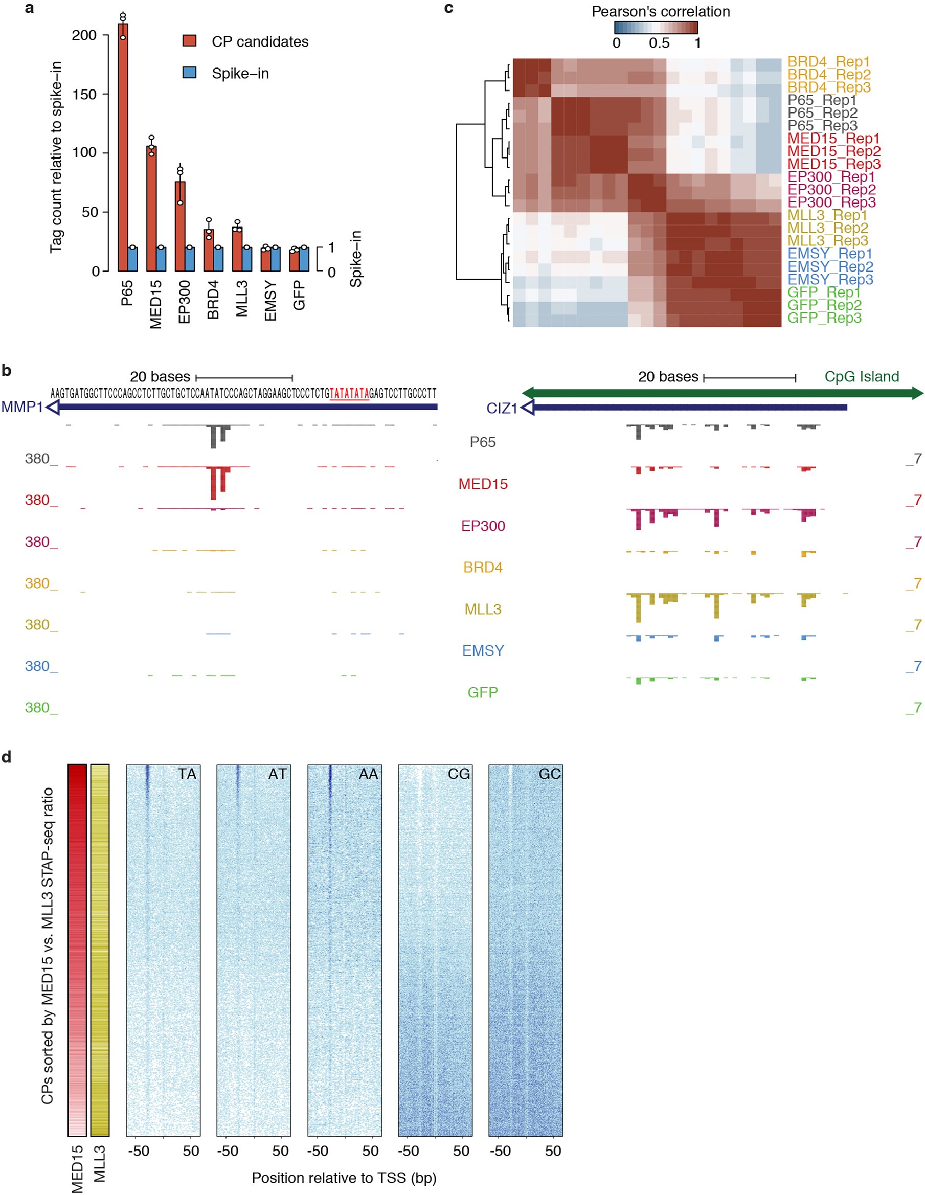 Extended Data Fig. 10: Sequence-encoded COF−CP compatibility is conserved in humans.