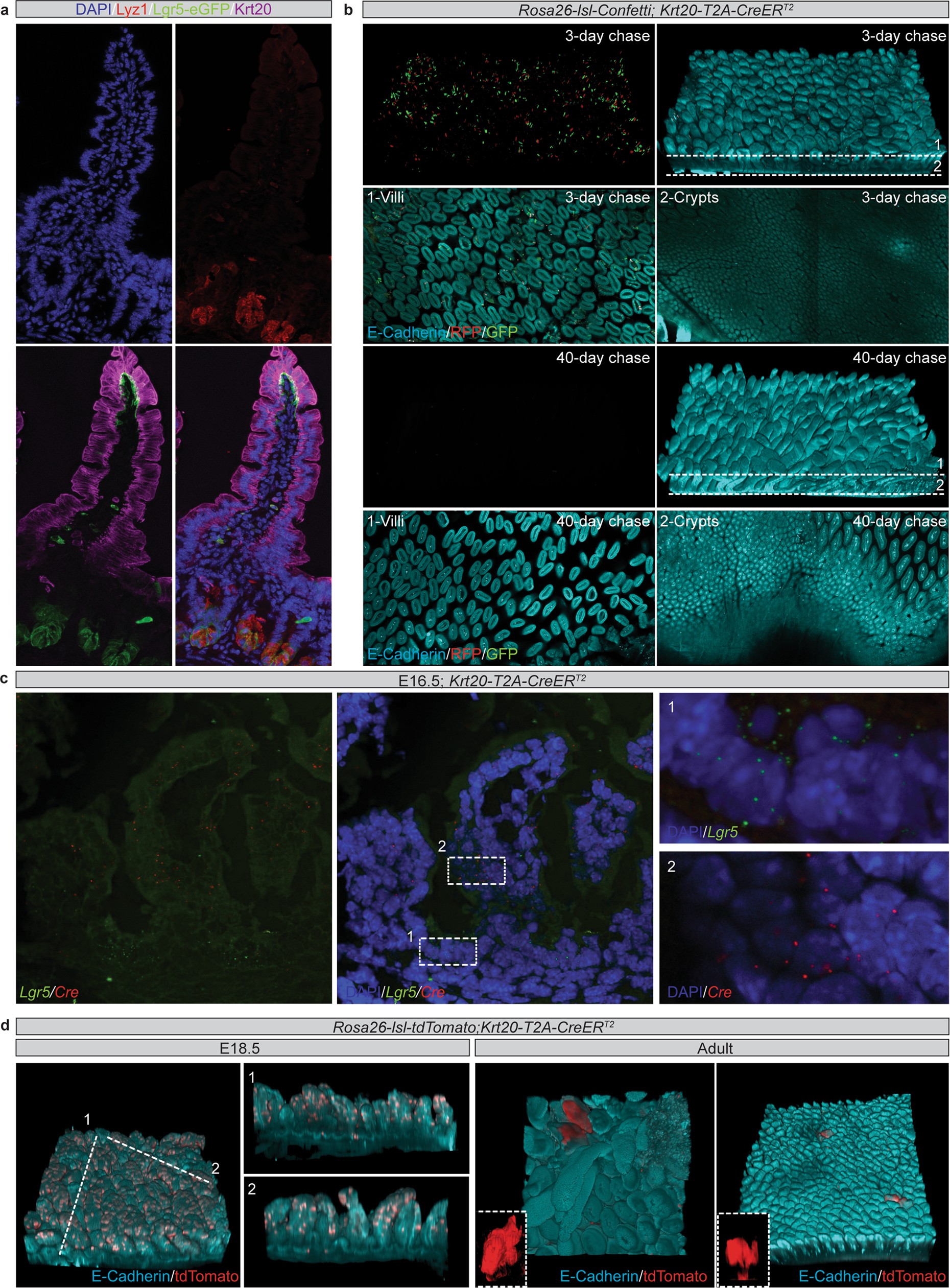 Extended Data Fig. 9