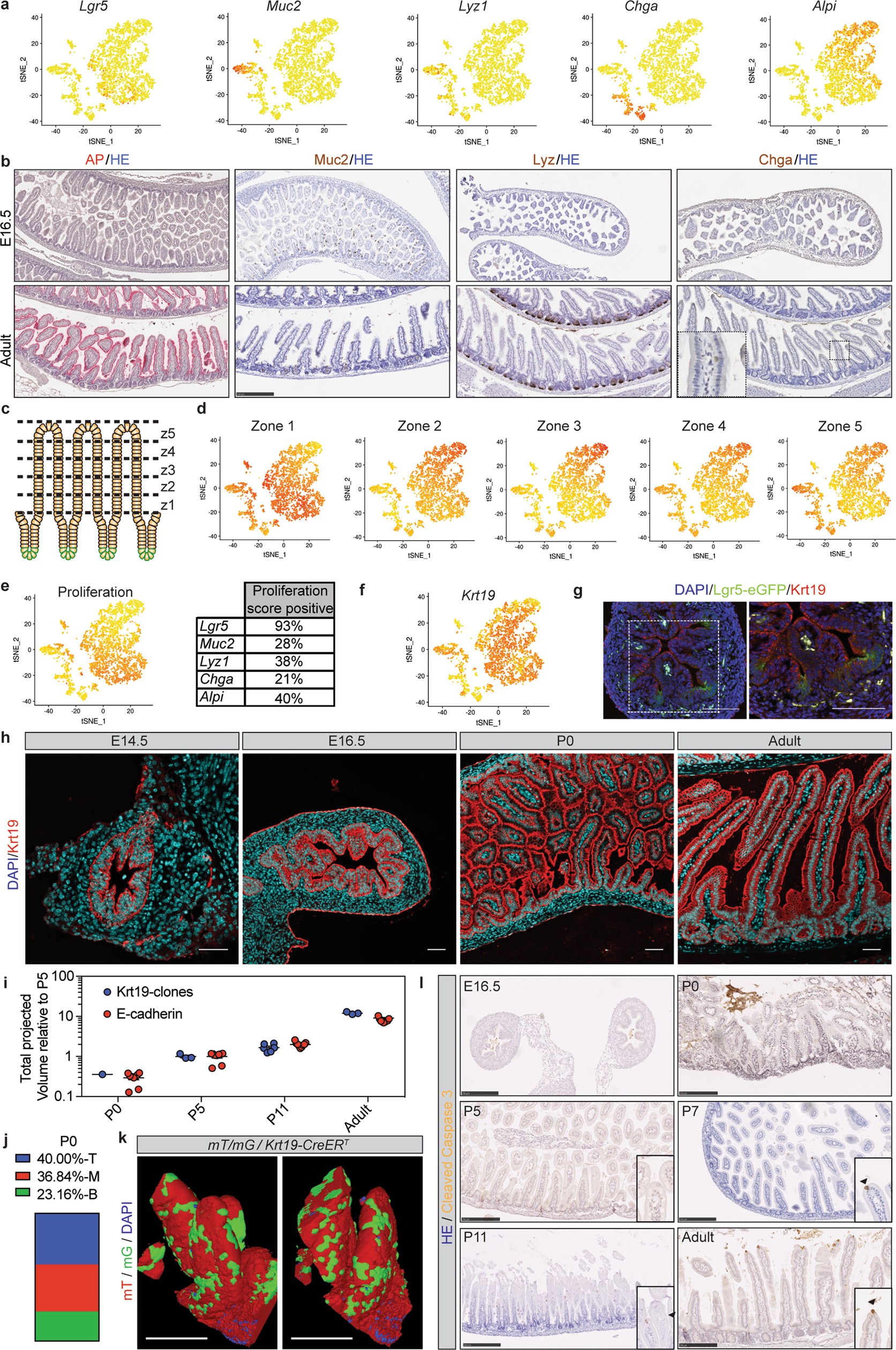 Extended Data Fig. 3