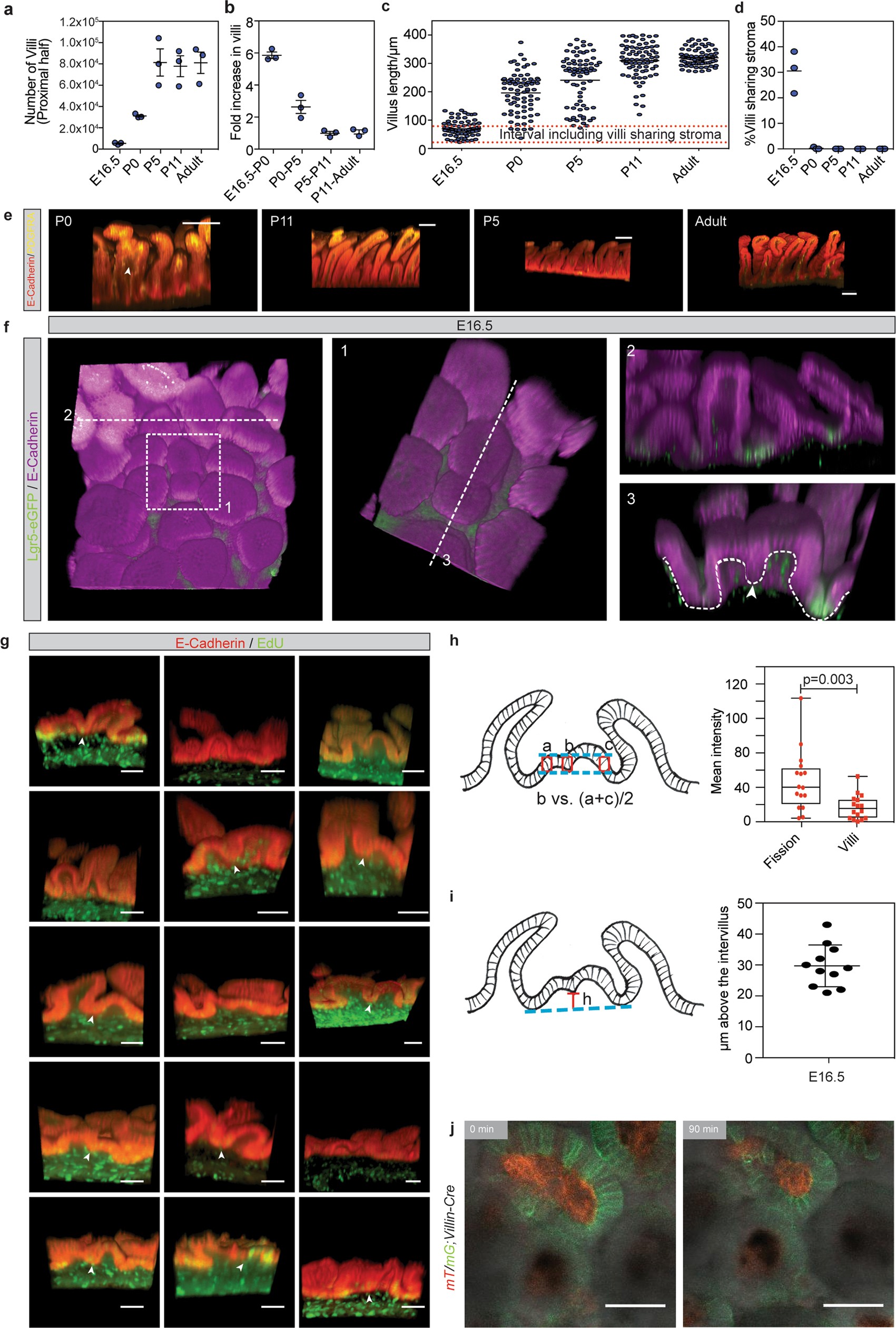 Extended Data Fig. 4