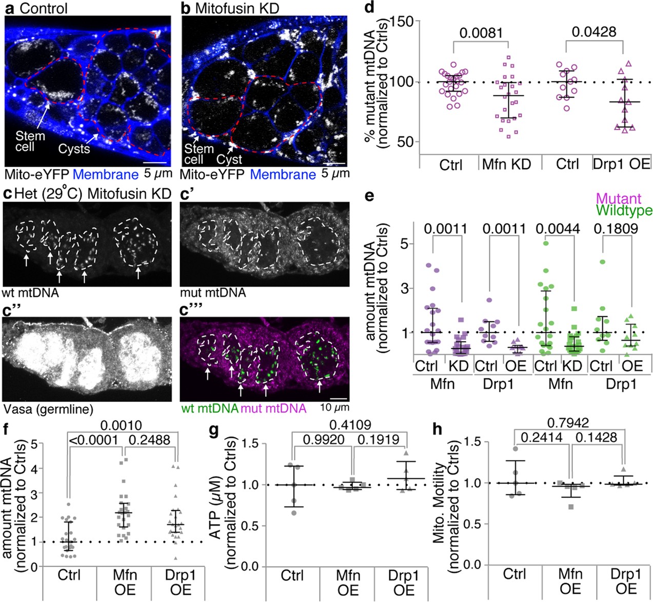 Extended Data Fig. 6
