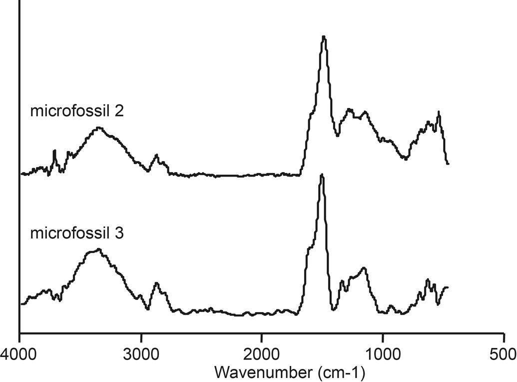 Extended Data Fig. 3