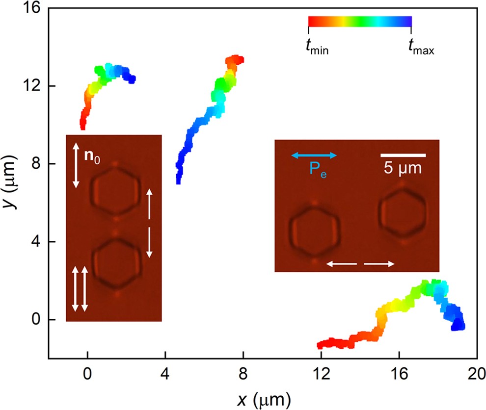 Extended Data Fig. 6