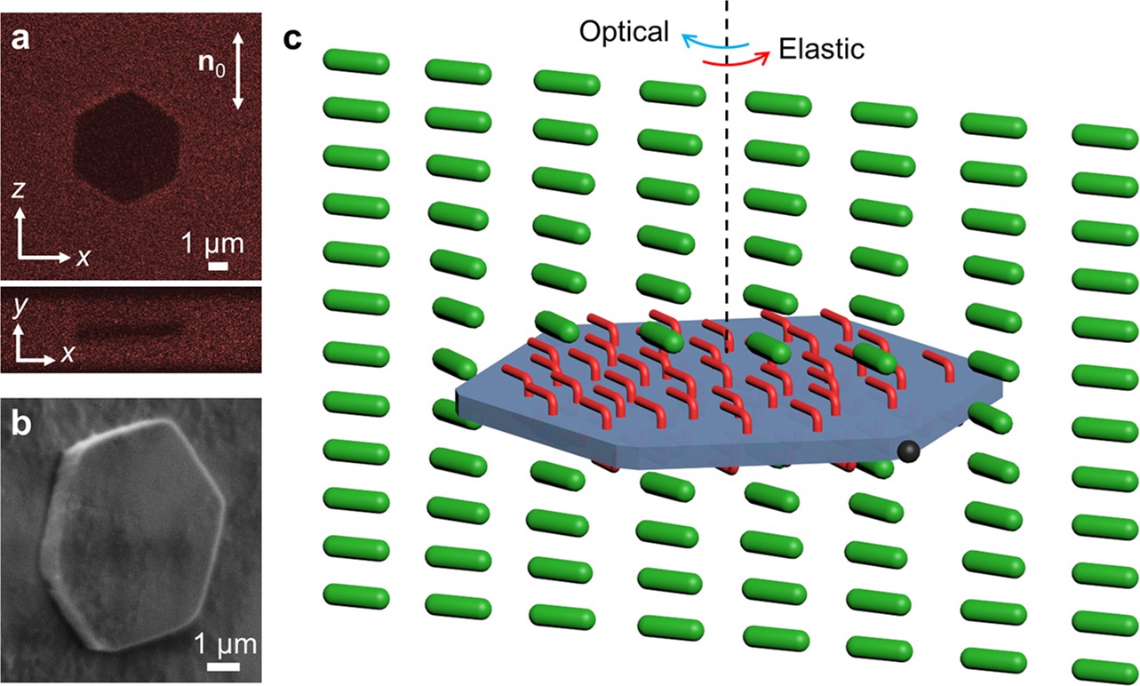 Extended Data Fig. 1