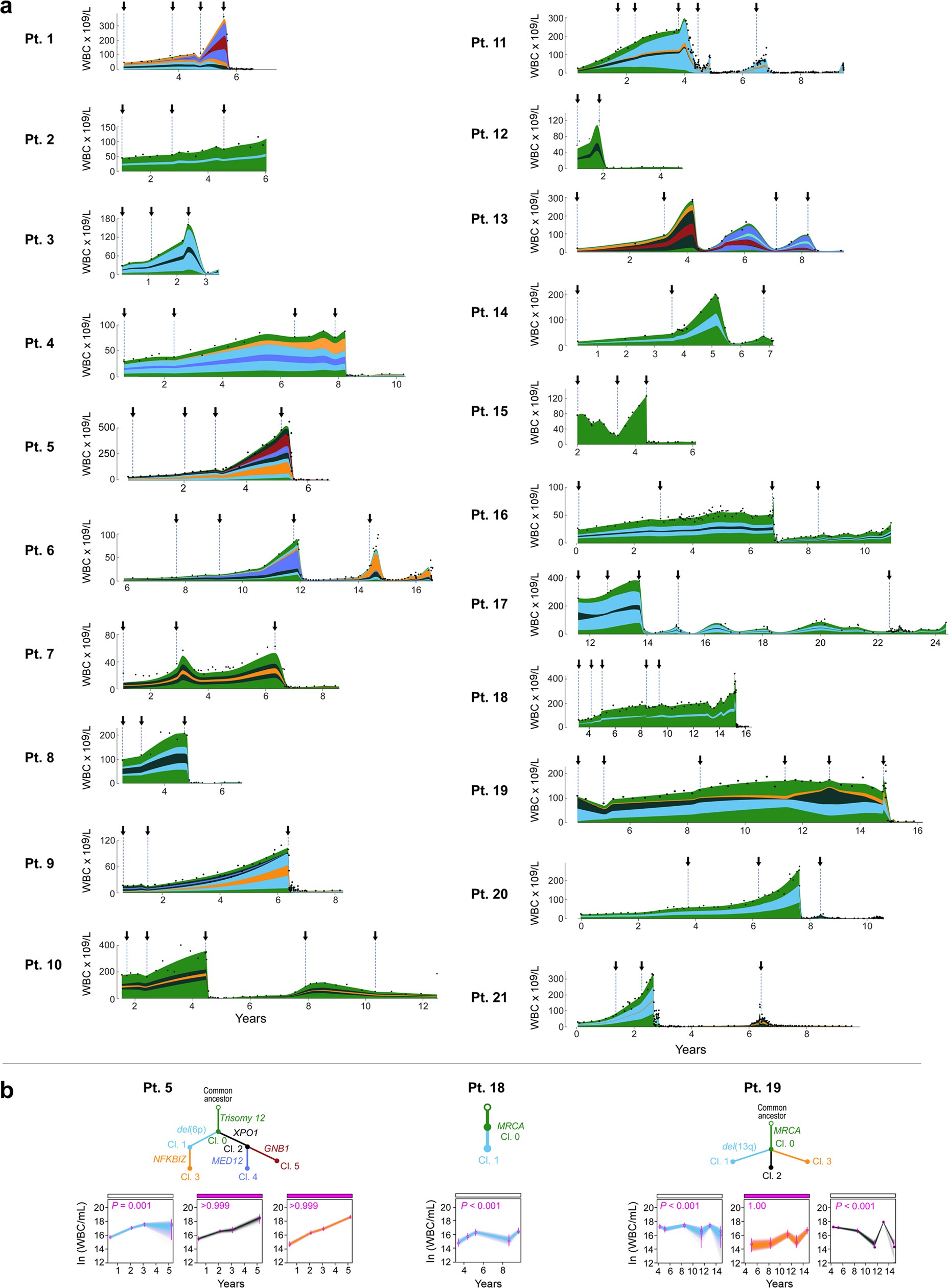 Extended Data Fig. 6: Subclonal genetic evolutionary dynamics in the discovery cohort.