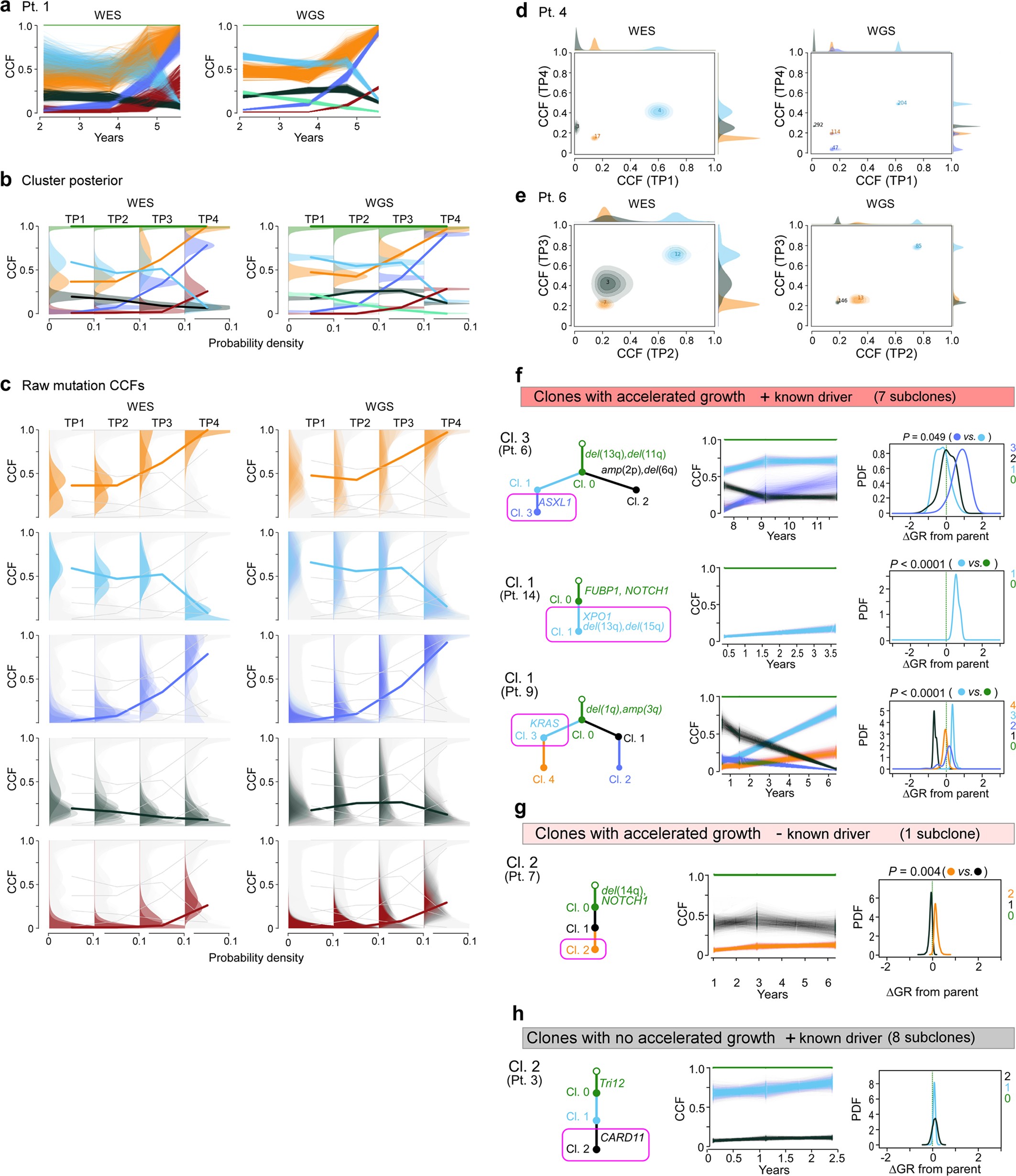 Extended Data Fig. 9: Comparison of PhylogicNDT clustering results between WES and WGS data and growth of selected subclones.
