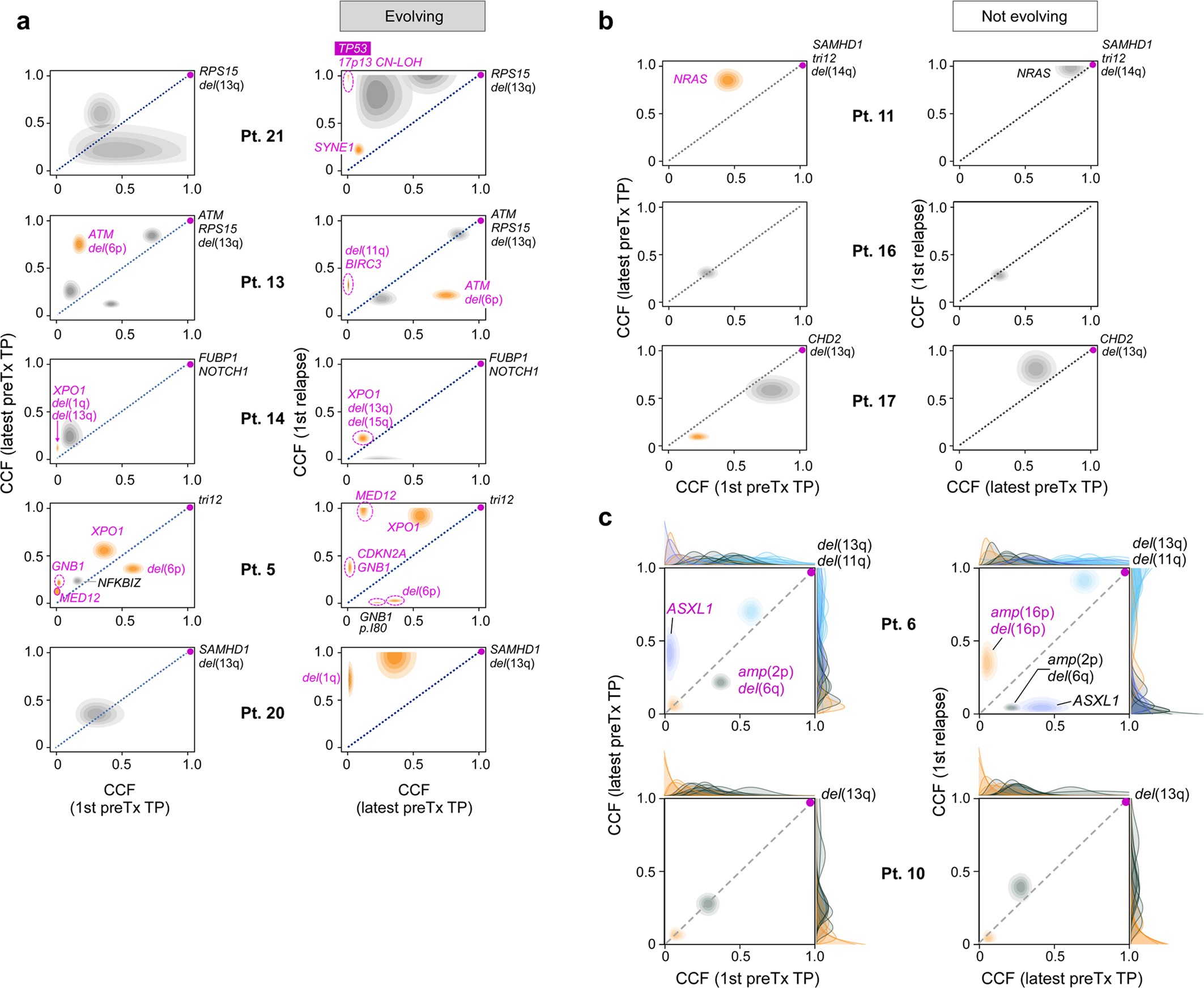 Extended Data Fig. 4: Assessment of evolutionary dynamics using sample pairs.