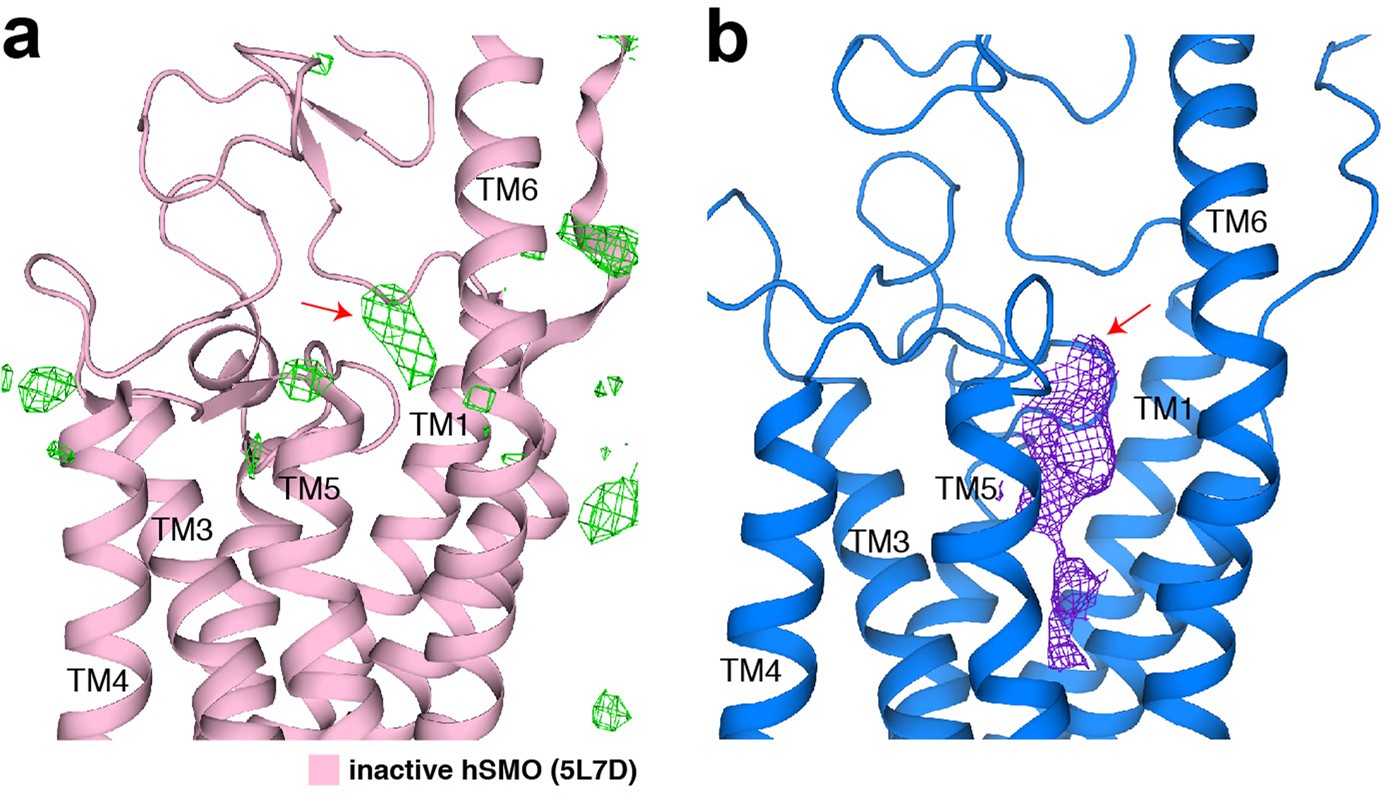 Extended Data Fig. 5