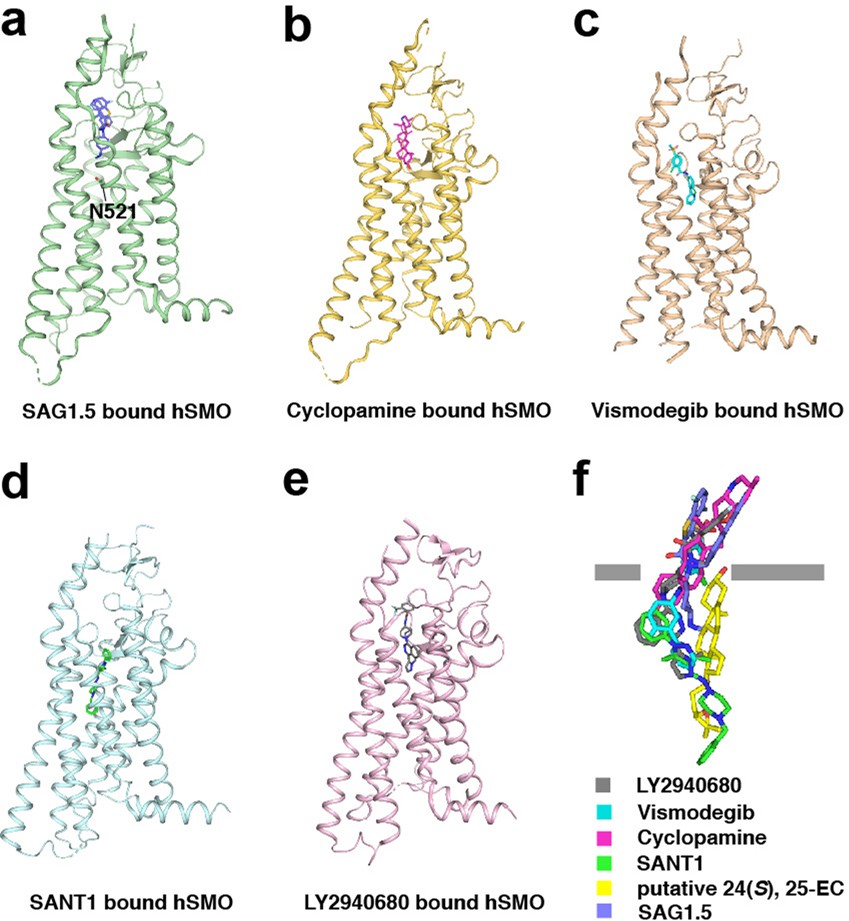 Extended Data Fig. 6