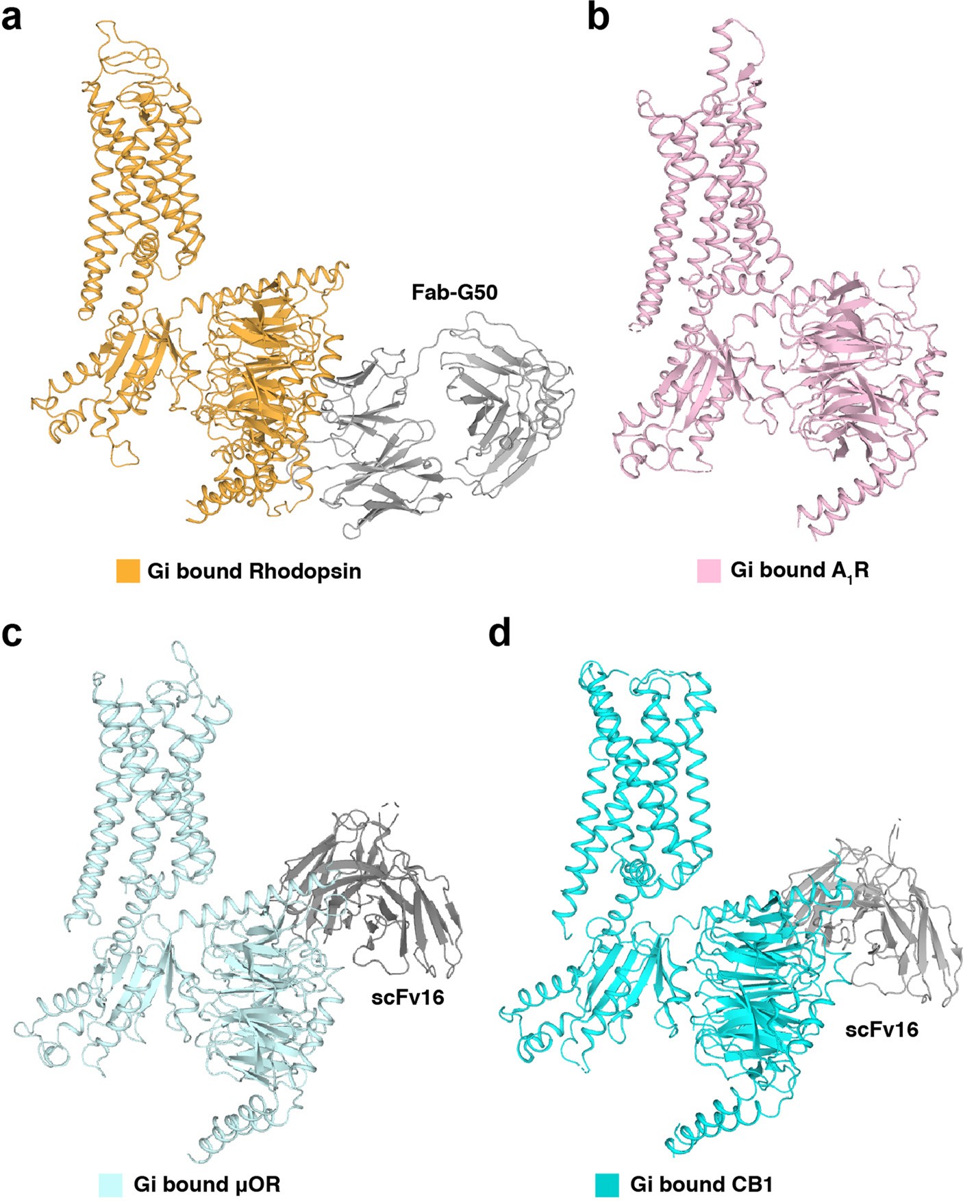 Extended Data Fig. 8