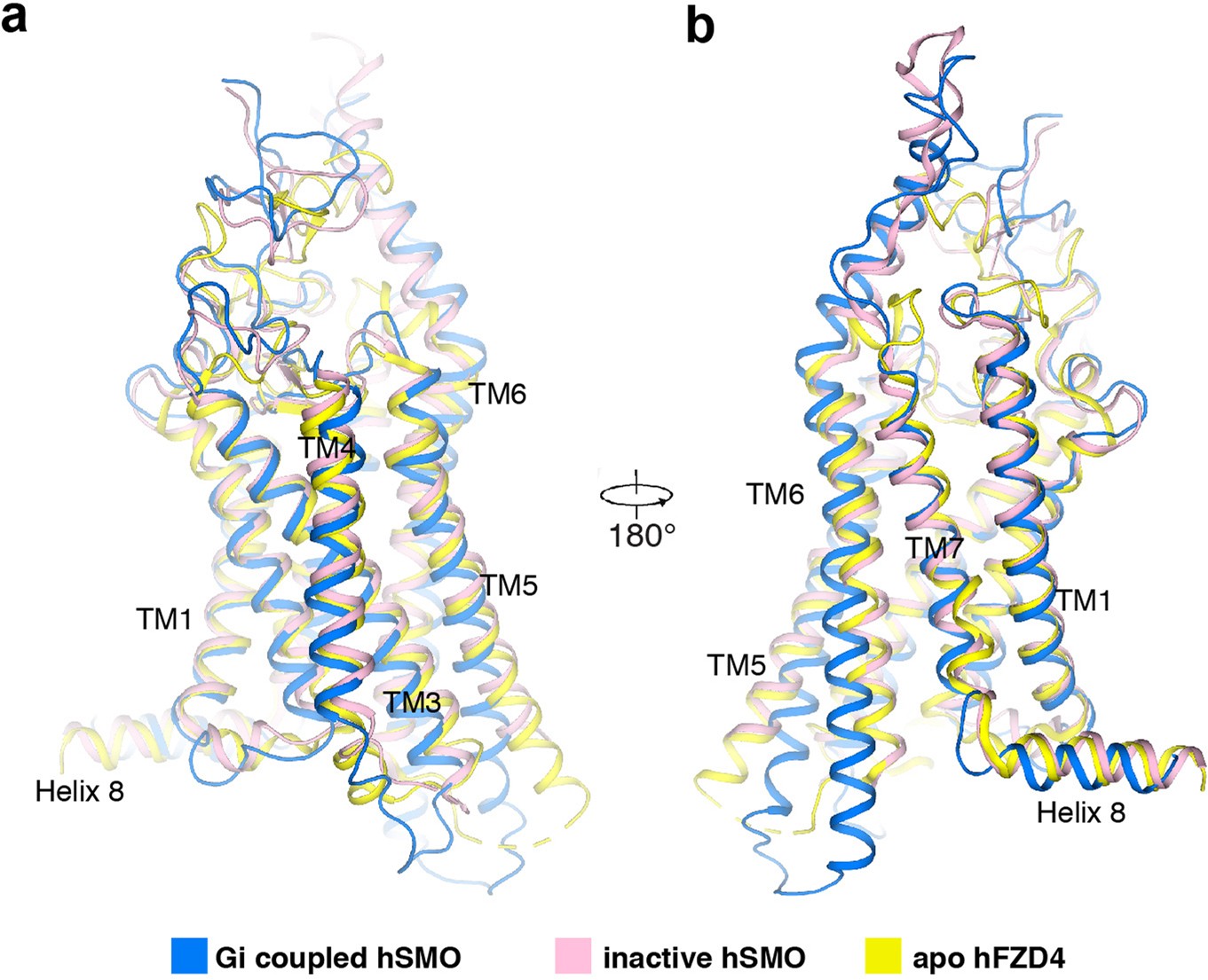 Extended Data Fig. 9