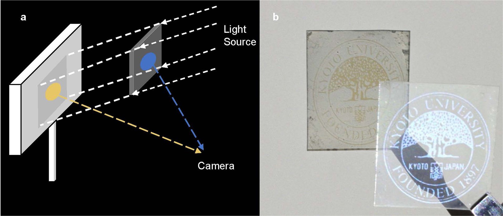 Extended Data Fig. 5