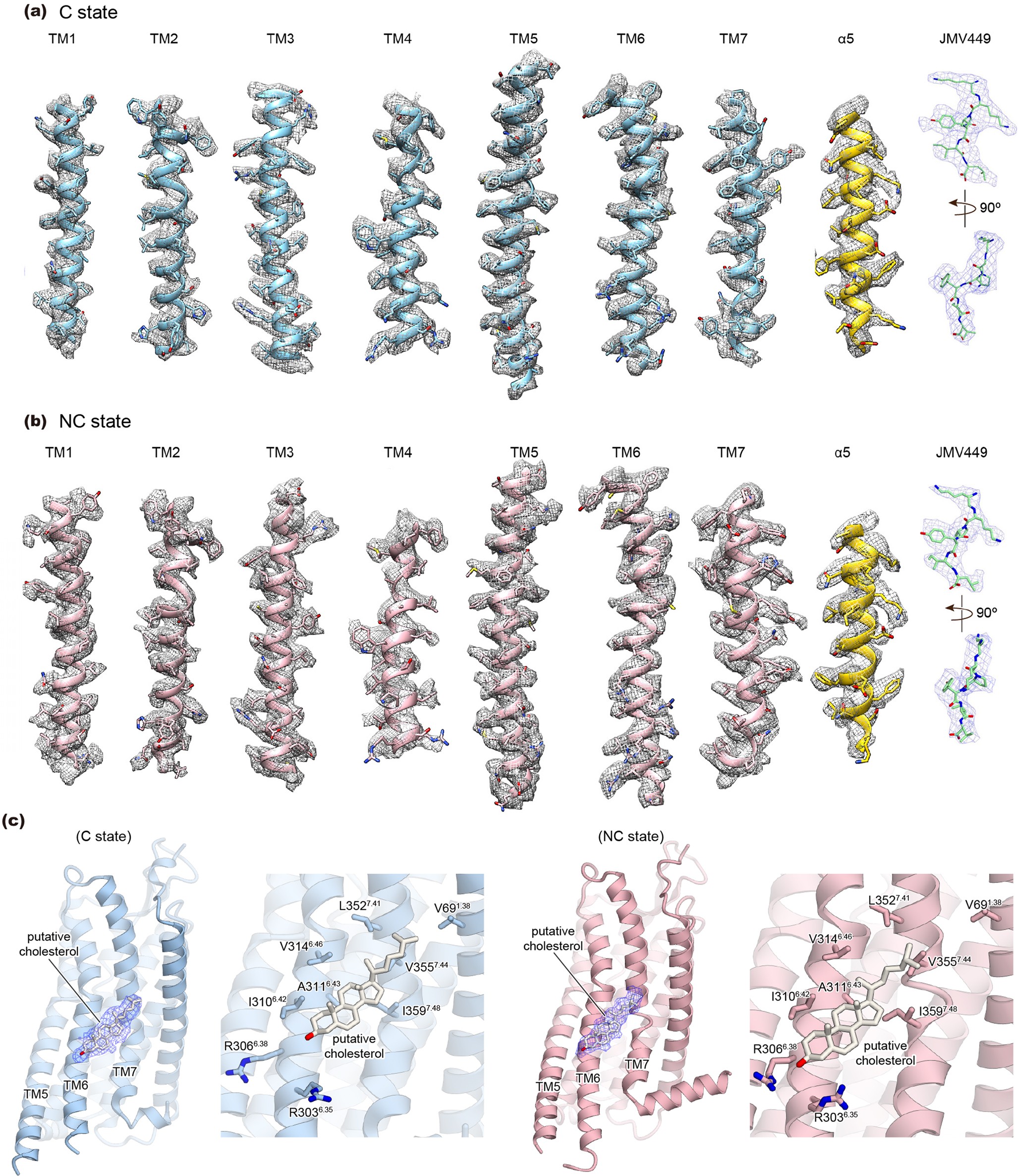 Extended Data Fig. 5: Cryo-EM map quality.